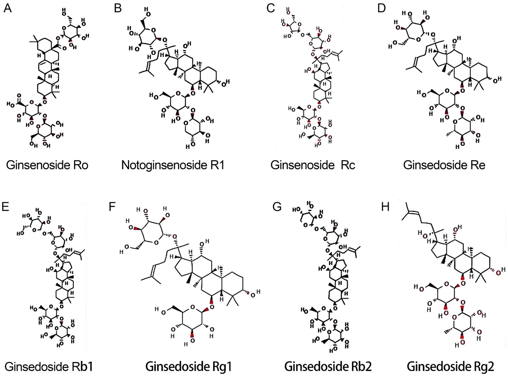 Molecular structures of eight types of ginsenosides: A) Ginsenoside Ro, B) Notoginsenoside R1, C) Ginsenoside Rc, D) Ginsenoside Re, E) Ginsenoside Rb1, F) Ginsenoside Rg1, G) Ginsenoside Rb2, H) Ginsenoside Rg2. Each structure depicts detailed chemical bonds and functional groups.