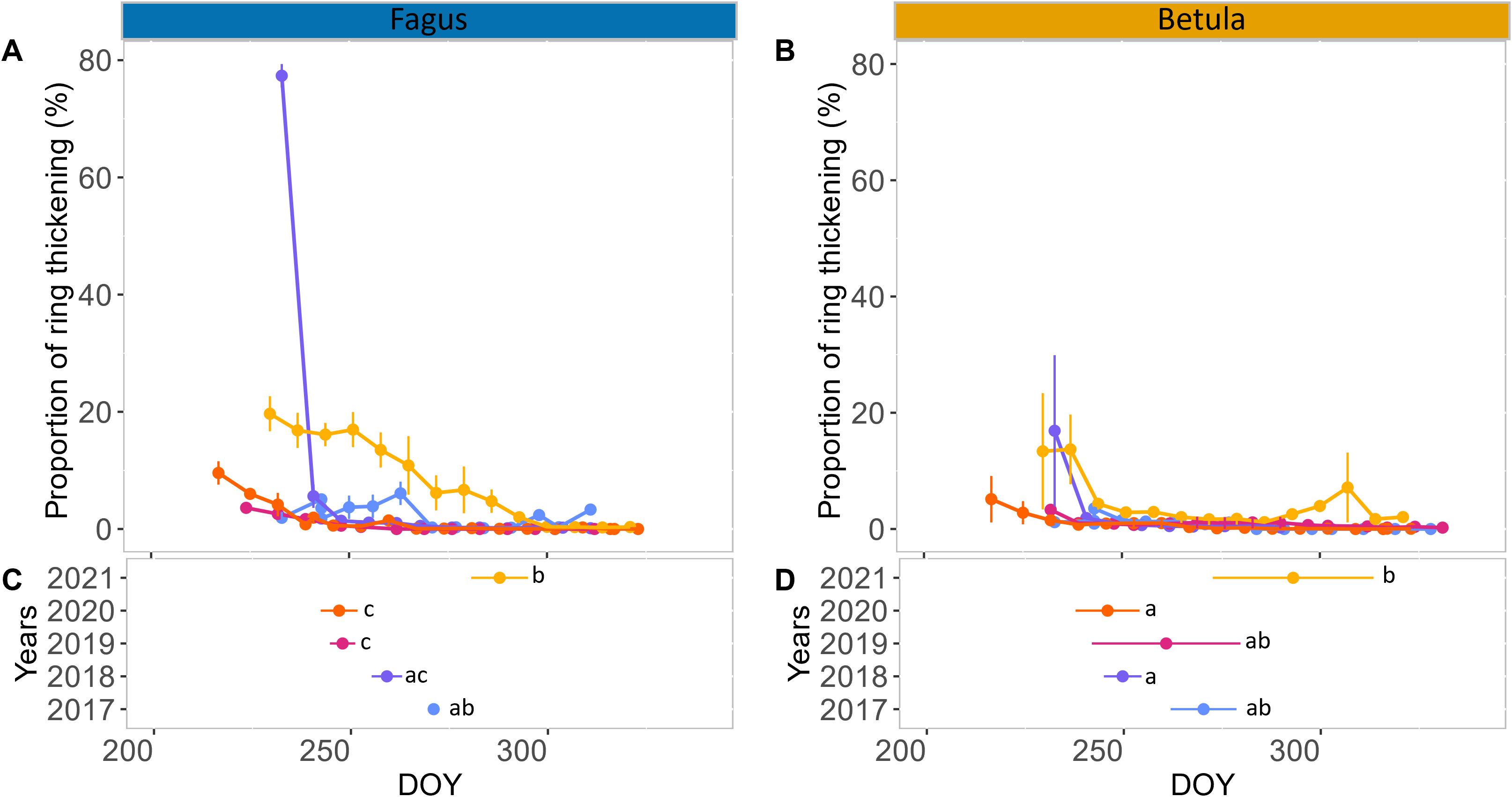 Four graphs show the decline of the proportion of ring thickening for Fagus and Betula, as well as the date of xylem stem cessation for the five years studied. Graph A for Fagus shows a sharp peak near day 240, followed by a steady decline. Graph B for Betula displays smaller fluctuations with a similar decline. Both graphs cover years 2017 to 2021 and include error bars for variability.