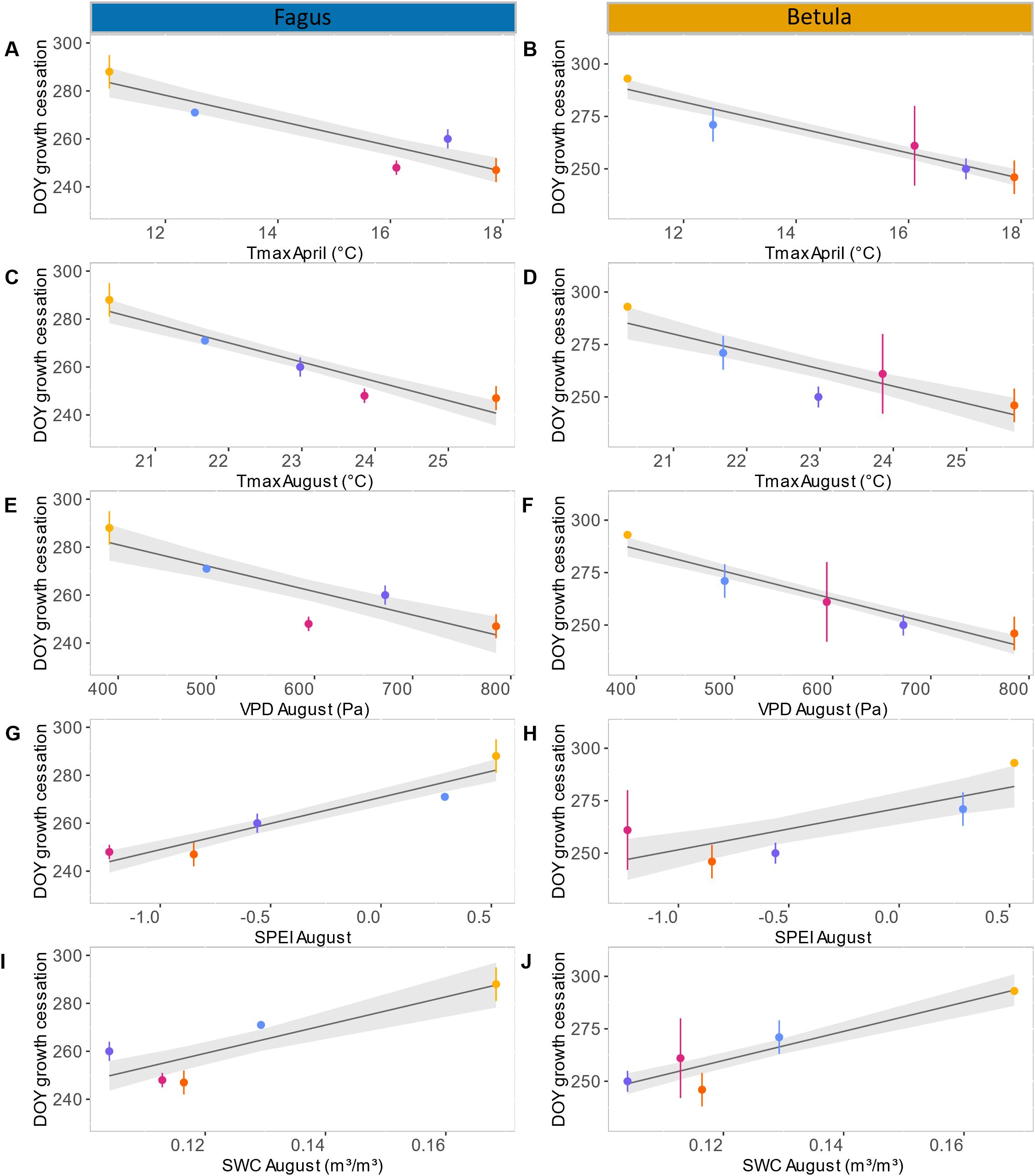 Panel of ten scatter plots comparing different environmental factors with the day of year (DOY) growth cessation for Fagus and Betula species. Plots are grouped into two columns: Fagus (A, C, E, G, I) and Betula (B, D, F, H, J). The X-axes represent various factors: Tmax in April and August, VPD in August, SPEI in August, and SWC in August. The Y-axis shows DOY growth cessation. Each plot includes a trend line and data points with different colored markers. Gray shading indicates confidence intervals.
