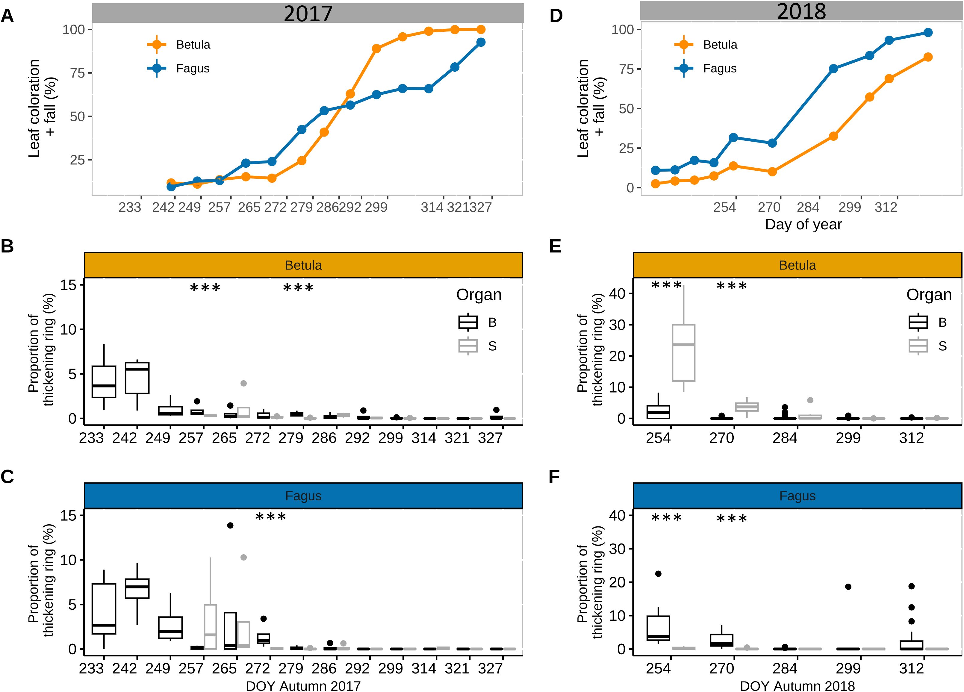 Graphs showing leaf coloration and proportion of thickening ring in Betula and Fagus for 2017 and 2018. Panels A and D display leaf coloration over days of the year, with Betula and Fagus shown in orange and blue, respectively. Panels B, C, E, and F present box plots of the proportion of thickening ring for both species during specific days, with organ distinction branches in black and stem in grey. The data highlights seasonal variations and changes over time.