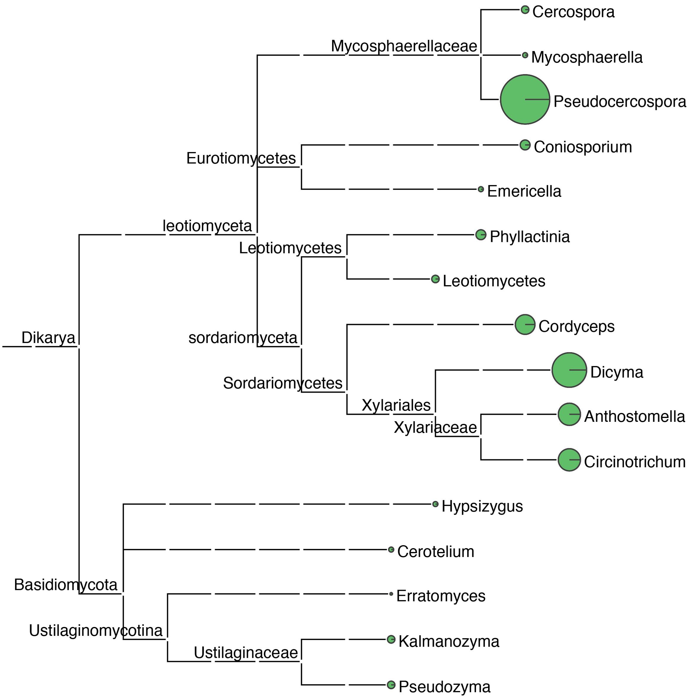 Phylogenetic tree showing relationships within Dikarya, including lineages such as Eurotiomycetes, Leotiomycetes, and Sordariomycetes. Highlighted genera include Pseudocercospora, Cordyceps, and Dictyma. Green circles indicate significant nodes.