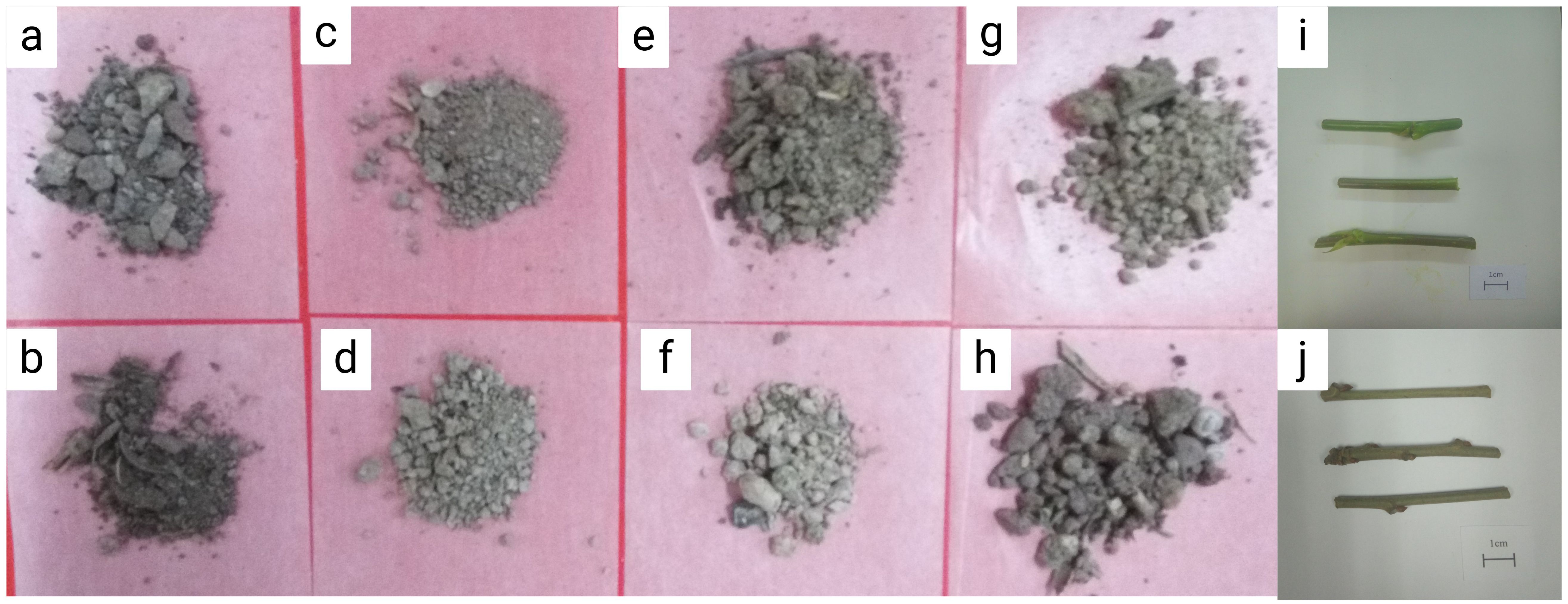 Grid of images showing different soil samples on red backgrounds labeled a to h, depicting varying textures and compositions. To the right, images i and j feature plant stems on a white background with a scale indicating one centimeter.