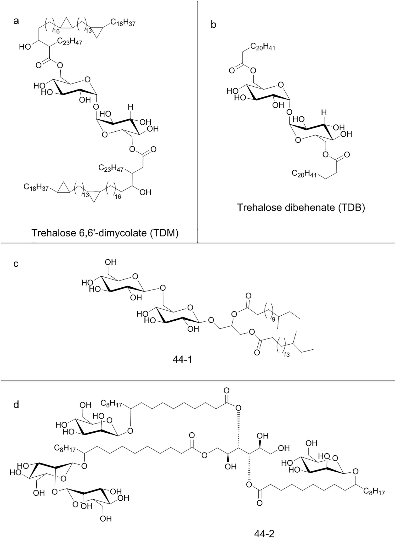 Chemical structures of glycolipids are illustrated in four panels. Panel (a) shows Trehalose 6,6'-dimycolate (TDM). Panel (b) displays Trehalose dibehenate (TDB). Panel (c) depicts compound 44-1, and panel (d) shows compound 44-2.
