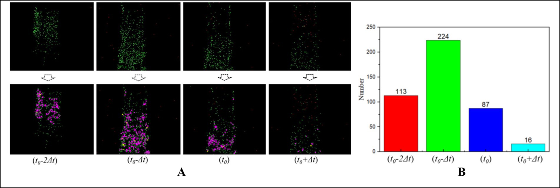 A series of images labeled A shows particle distributions over time intervals \(t_0 - 2\Delta t\), \(t_0 - \Delta t\), \(t_0\), and \(t_0 + \Delta t\). Each top image features green particles; the bottom panels add magenta markings. Panel B is a bar graph displaying numerical data corresponding to each time labeled: 113 for \(t_0 - 2\Delta t\) in red, 224 for \(t_0 - \Delta t\) in green, 87 for \(t_0\) in blue, and 16 for \(t_0 + \Delta t\) in cyan.