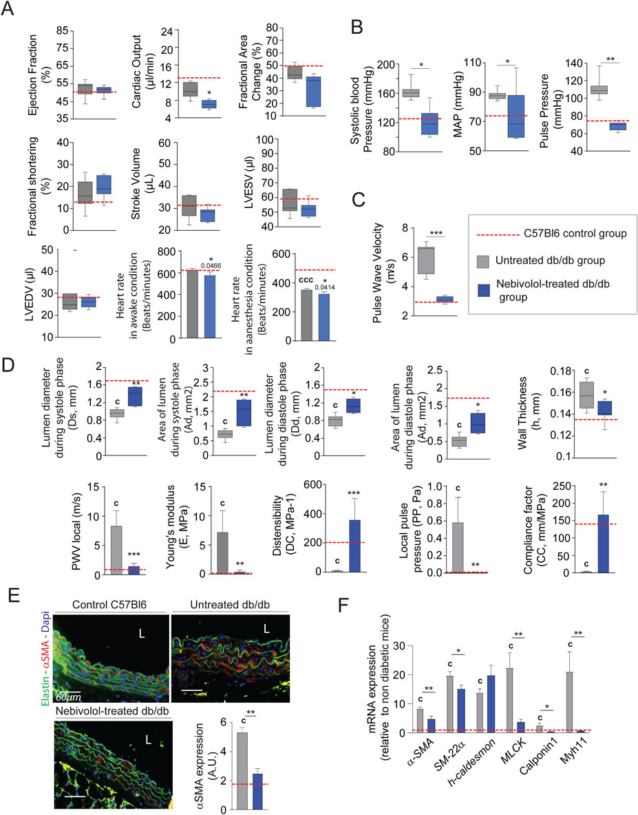 Bar charts and box plots illustrate cardiovascular measures across different groups: C57Bl6 control, untreated db/db, and nebivolol-treated db/db mice. Metrics include ejection fraction, blood pressure, pulse wave velocity, lumen diameter, and mRNA expression levels. Statistical significance is noted with asterisks. Image highlights changes among groups visually through charts and a micrograph, emphasizing differences in measures such as systolic blood pressure and compliance factor.