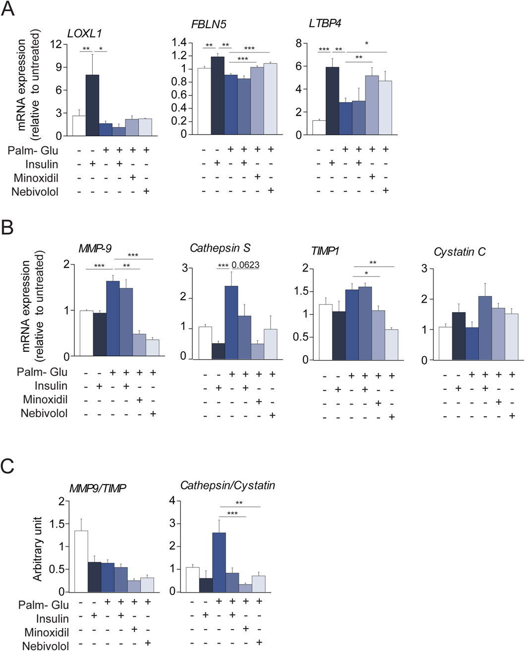 Graphs display mRNA expression and arbitrary units under different treatment conditions. Panel A shows expression for LOXL1, FBLN5, and LTBP4; Panel B for MMP-9, Cathepsin S, TIMP1, and Cystatin C; Panel C shows ratios of MMP9/TIMP and Cathepsin/Cystatin. Treatments are Palm-Glu, Insulin, Minoxidil, and Nebivolol, indicated by plus or minus signs. Statistical significance is marked with asterisks.