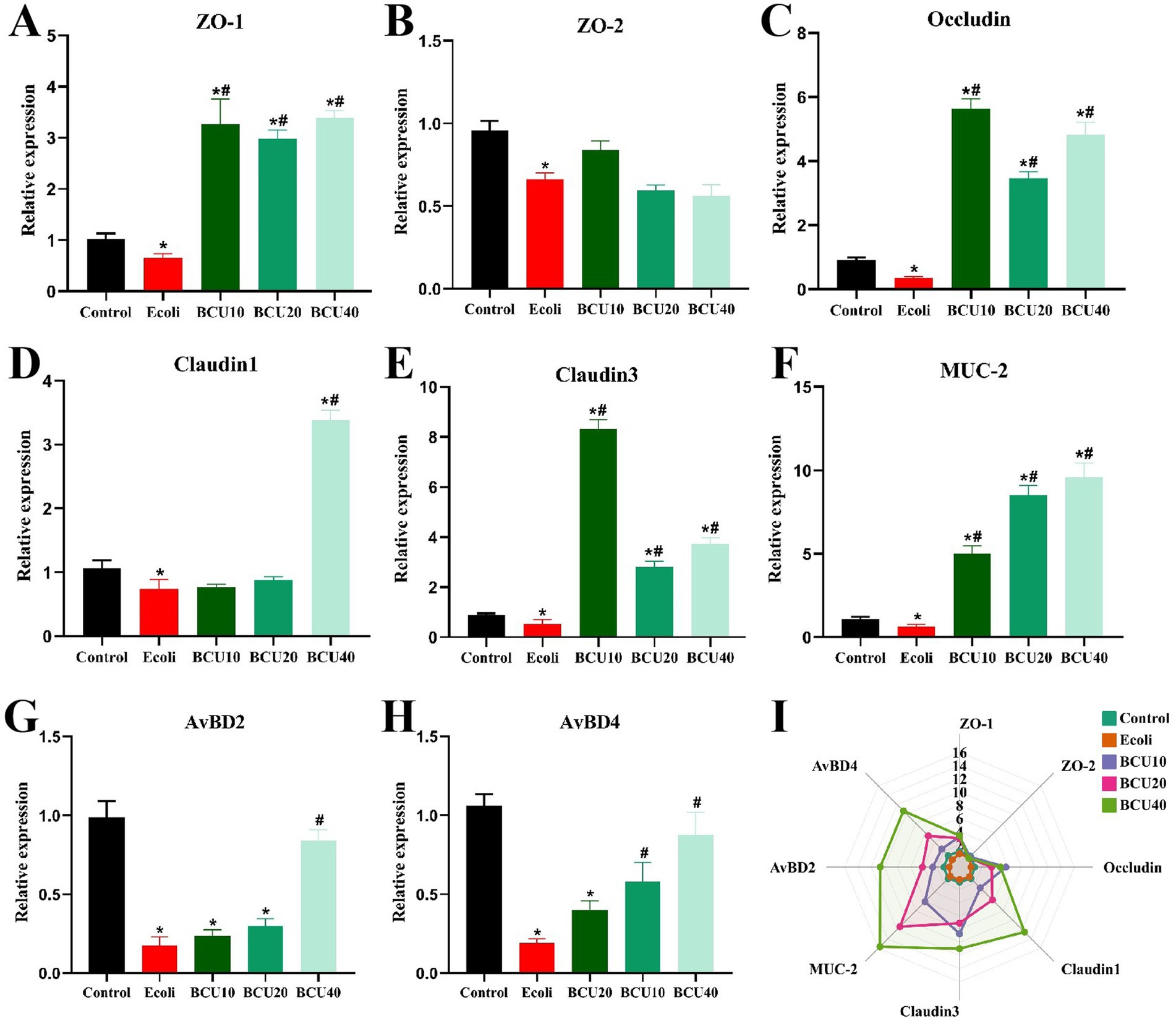 Bar charts A to H illustrate the relative expression levels of various genes: ZO-1, ZO-2, Occludin, Claudin1, Claudin3, MUC-2, AvBD2, and AvBD4 across different treatments: Control, E. coli, and varying concentrations of BCU (10, 20, 40). Annotations (*) and (#) indicate statistical significance. Chart I is a radar graph comparing gene expression levels for each treatment.