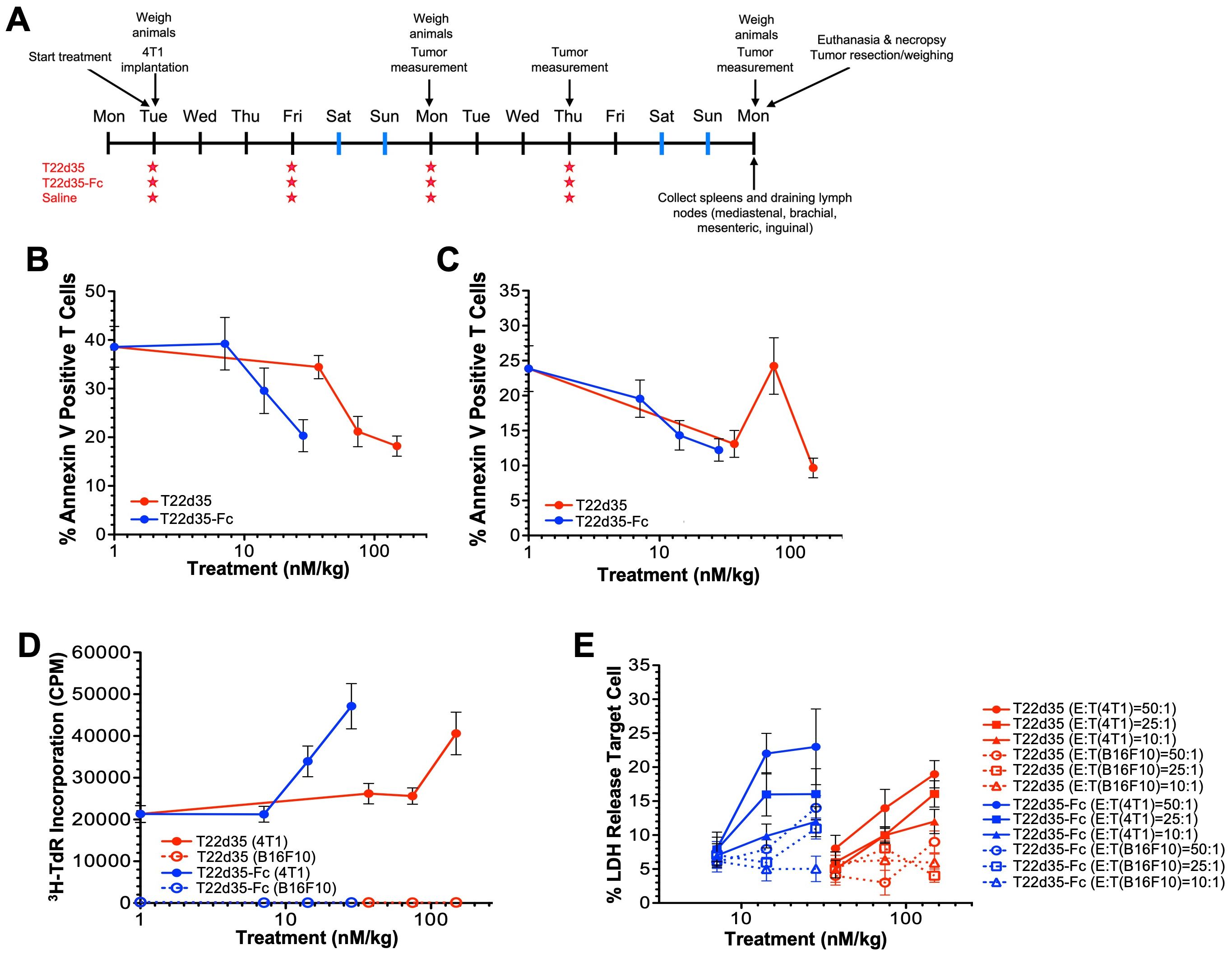 (A) Outline of the in vivo study evaluating immune activation in 4T1 tumor bearing animals. Assessment of apoptosis (B, C) and proliferation (D) in CD4+ and CD8+ T cells isolated from animals treated with Fc-fused T22d35. (E) Comparison of the lysis of B16F10 and 4T1 cells exposed ex vivo to T cell isolated from 4T1 tumor bearing animals treated with non-fused and Fc-fused T22d35.