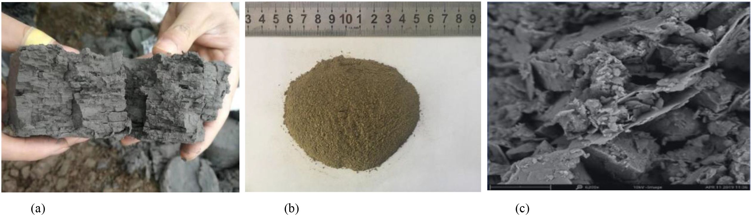Undisturbed Yangtze River floodplain facies soft soil and particle composition. (a) Undisturbed stratified structure, (b) Disturbed dry soil particles, (c Scanning electron microscope image.