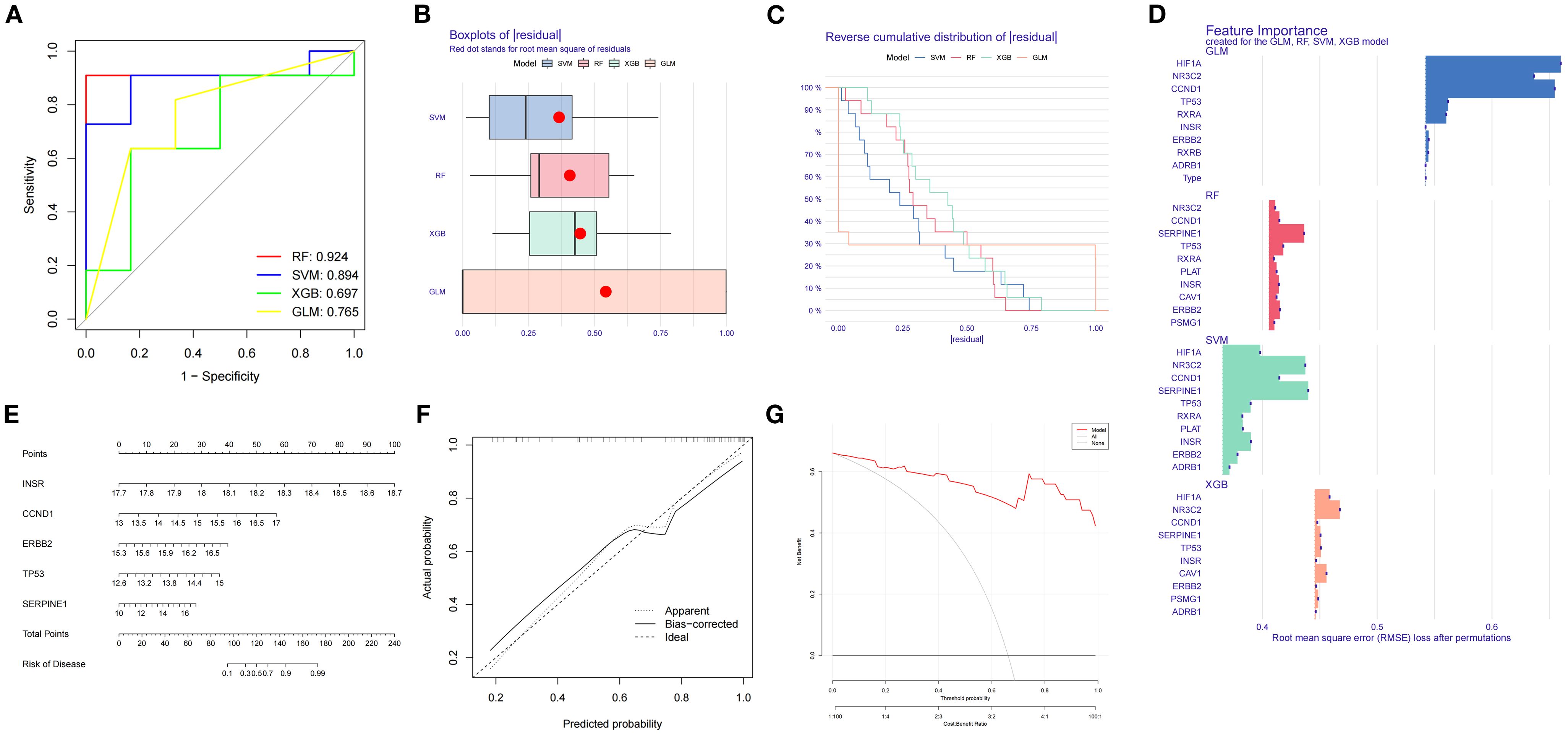 A composite of seven analytical plots: (A) An ROC curve showing sensitivity and specificity for four models: RF, SVM, XGB, GLM with varied performances. (B) Boxplots of residuals for each model with red dots indicating the root mean square. (C) Reverse cumulative distribution of residuals for each model. (D) Feature importance for each model shown as bar charts. (E) A nomogram predicting risk of disease based on specific features. (F) A calibration plot comparing actual versus predicted probabilities. (G) A decision curve analysis showing net benefit against threshold probability.