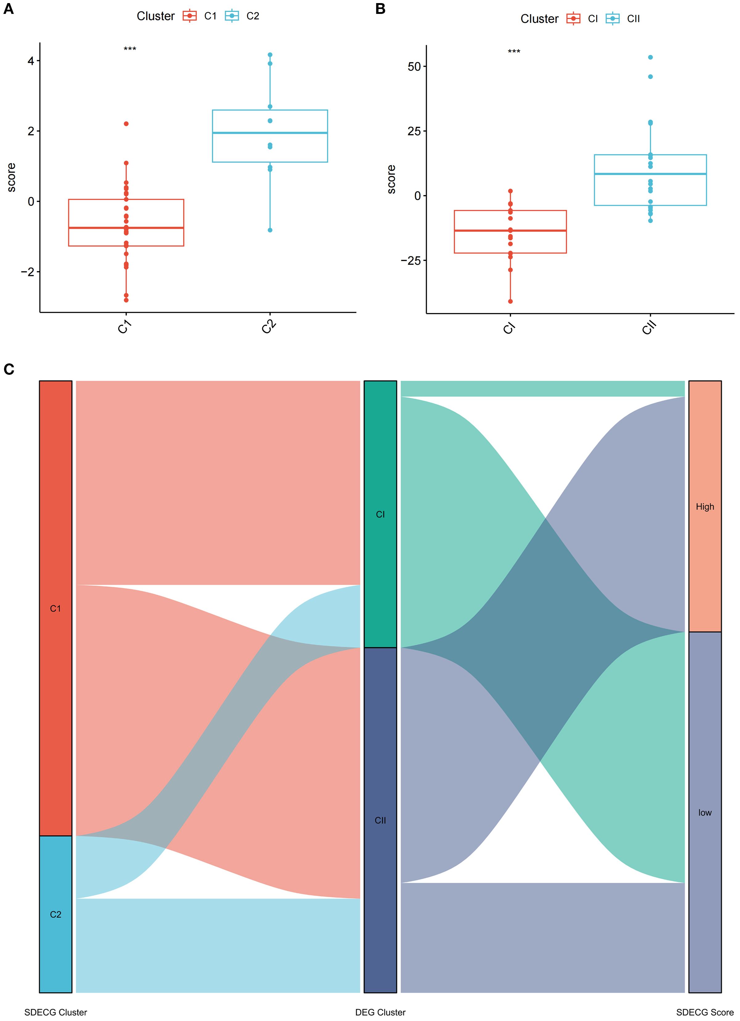 Three panels show data visualizations. Panel A and B are box plots comparing two clusters (C1 vs. C2 in A, CI vs. CII in B) with significant score differences marked by asterisks. Panel C is a Sankey diagram showing the flow from “SDECG Cluster” to “DEG Cluster” and “SDECG Score,” with color-coded paths illustrating transitions between clusters and scores labeled as “High” or “Low.