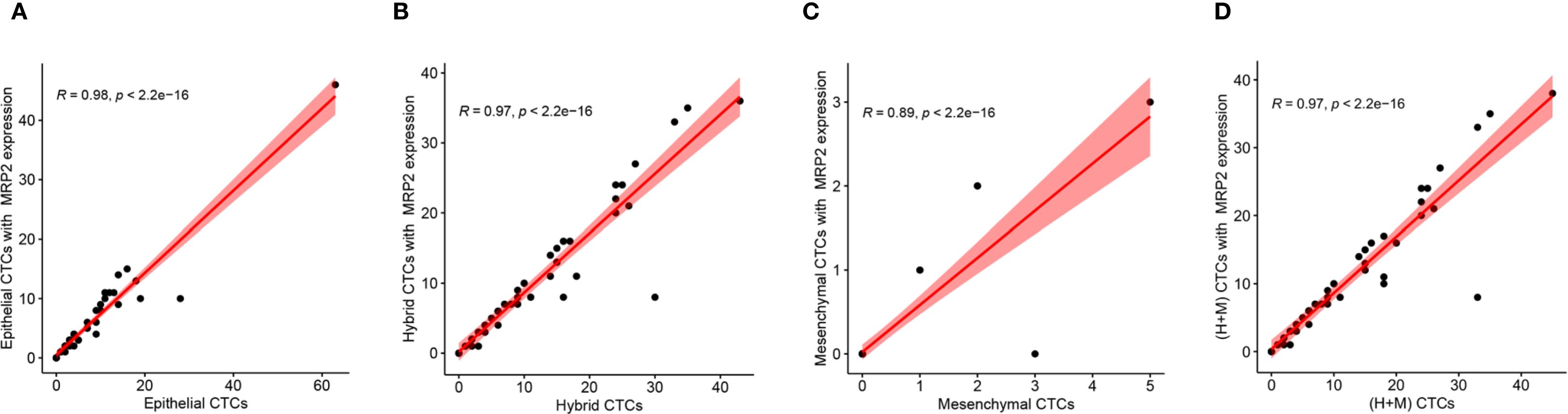 Four scatter plots labeled A, B, C, and D show the correlation between different types of circulating tumor cells (CTCs) and MRP2 expression. All plots display a strong positive correlation with trend lines and shaded confidence intervals. Plot A: Epithelial CTCs (R=0.98, p<2.2e-16). Plot B: Hybrid CTCs (R=0.97, p<2.2e-16). Plot C: Mesenchymal CTCs (R=0.89, p<2.2e-16). Plot D: Hybrid and Mesenchymal CTCs (R=0.97, p<2.2e-16).