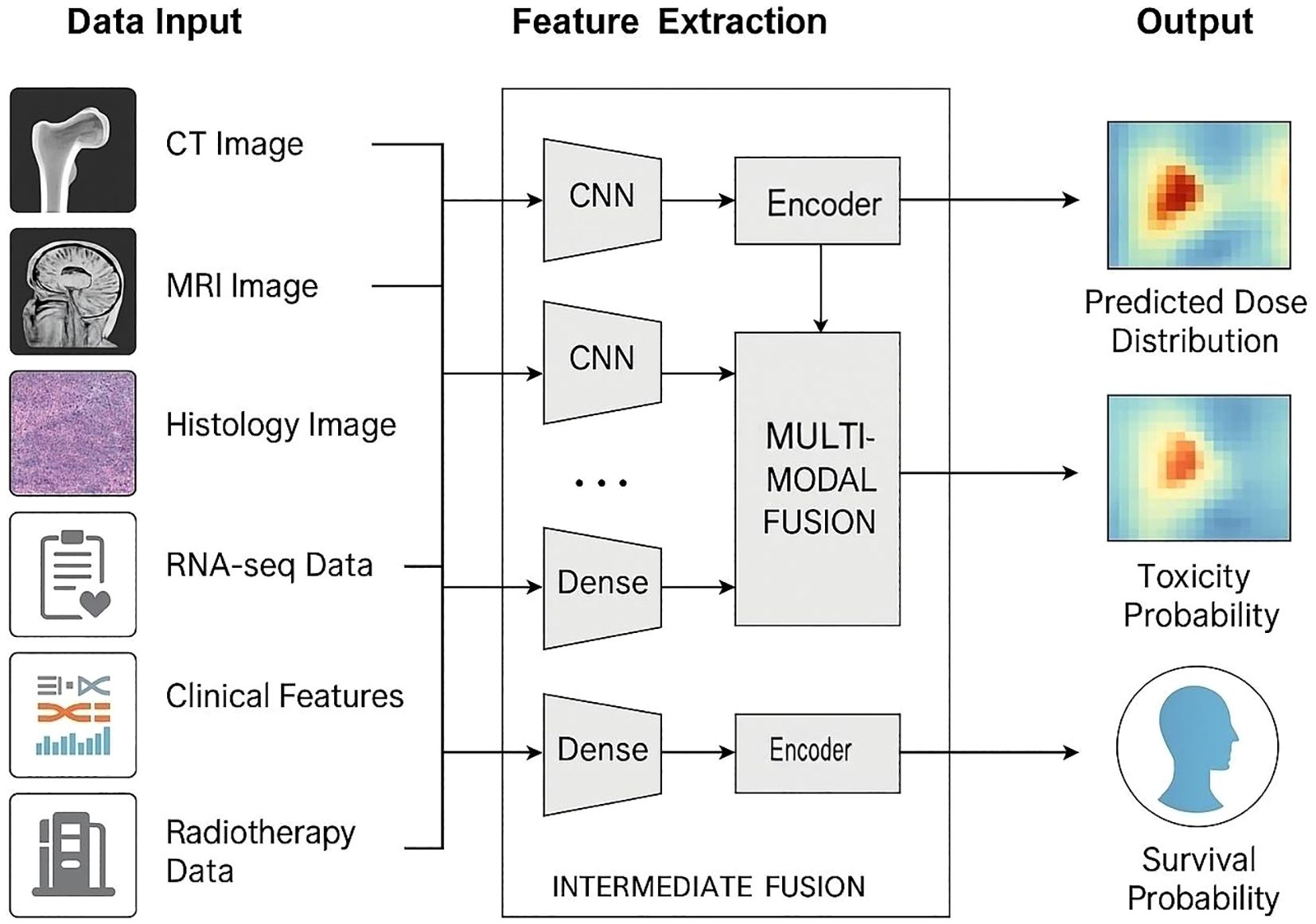 Flowchart showing a multi-modal data processing system. Data inputs include CT images, MRI images, histology images, RNA-seq data, clinical features, and radiotherapy data. Feature extraction uses CNNs and dense layers, followed by multi-modal fusion and encoding. Outputs are predicted dose distribution, toxicity probability, and survival probability.