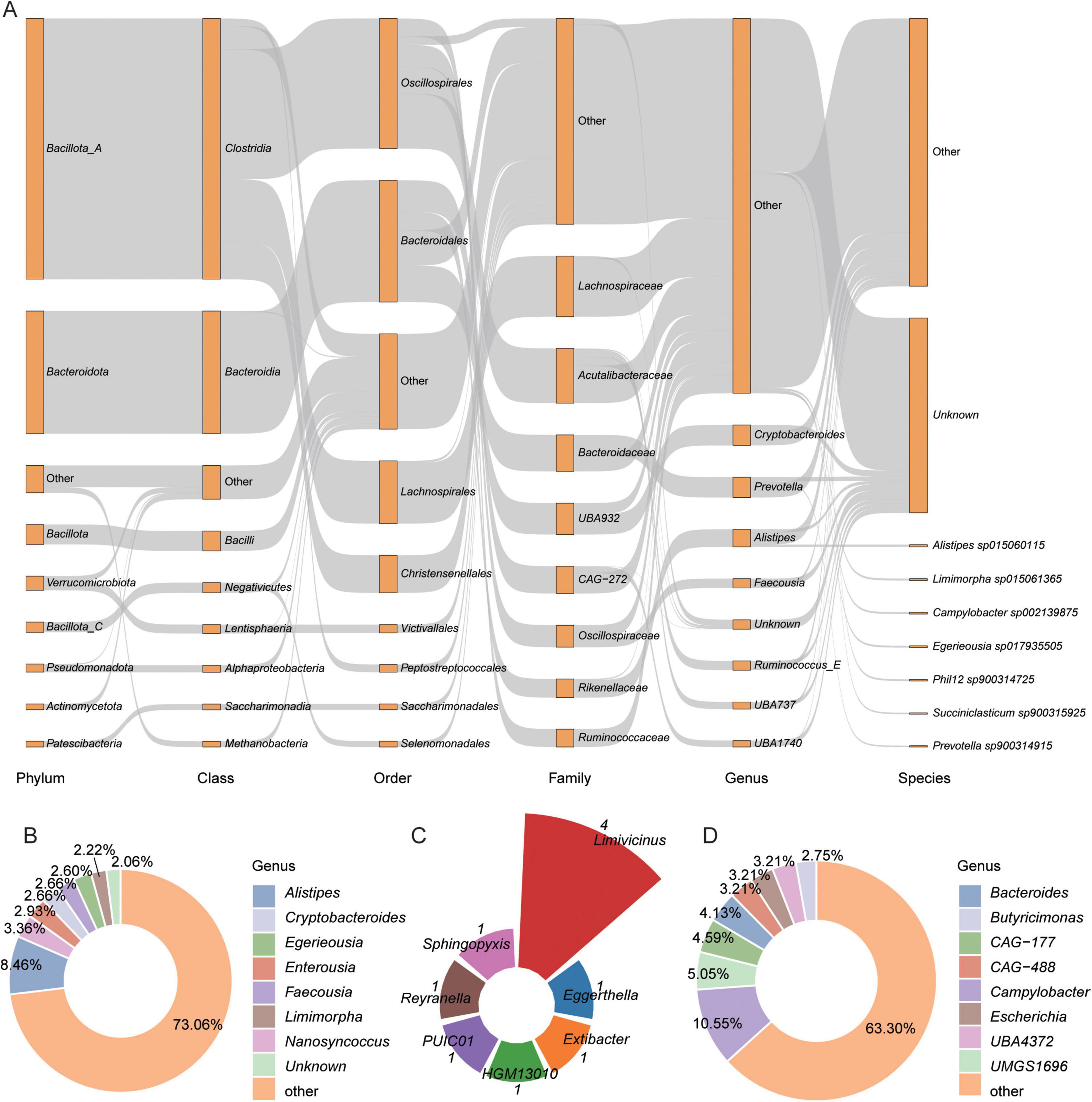 Three diagrams depict microbial data. Diagram A is a Sankey chart illustrating relationships from phylum to species across various classifications. Diagram B is a donut chart showing genus distribution with “other” as the largest segment at 73.06%. Diagram C is a pie chart detailing specific genera, with “Limnivicrus” being prominent. Diagram D is another donut chart displaying genus proportions, highlighting “Bacteroides” at 63.30%. Each diagram uses distinct colors for clarity.