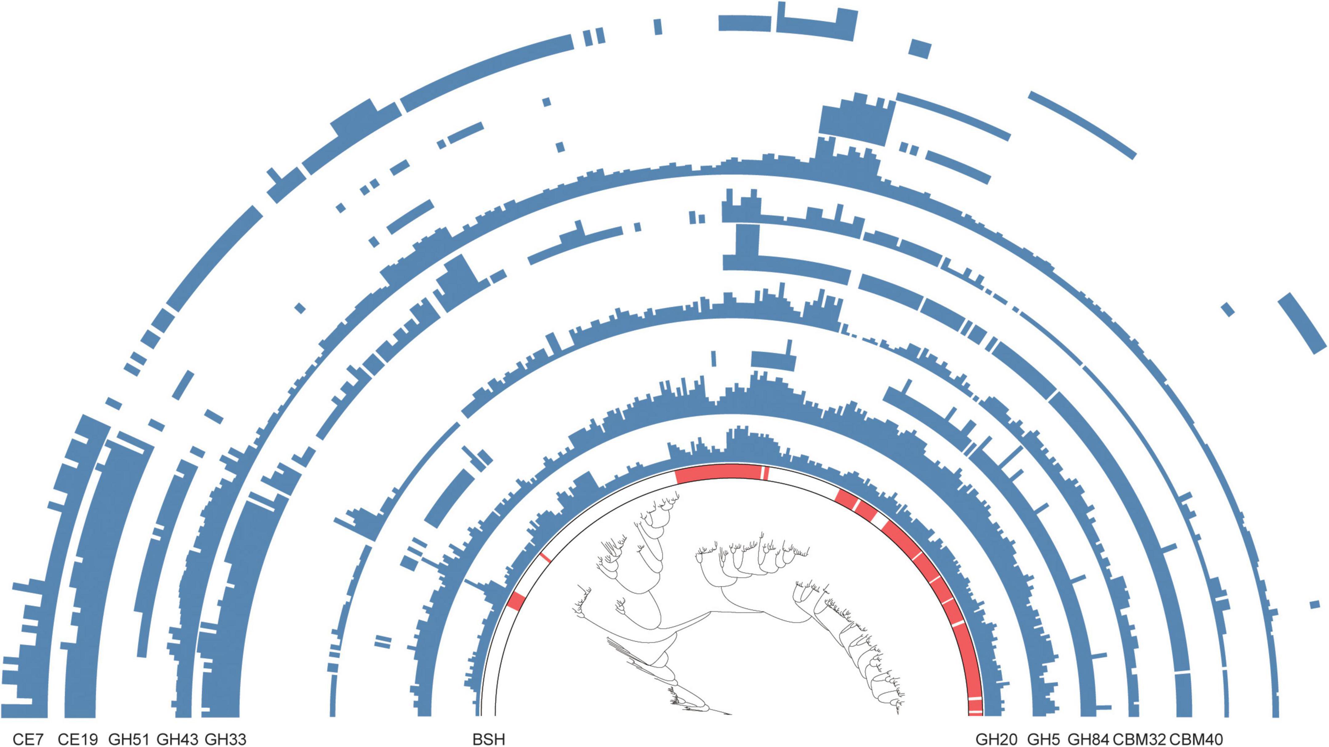Circular phylogenetic tree with concentric blue and red data bars. The central tree diagram is surrounded by blue horizontal bars in various lengths, indicating different data points. Red sections are highlighted within the inner circle. Labels at the bottom reference specific categories like CE7, CE19, and GH5.