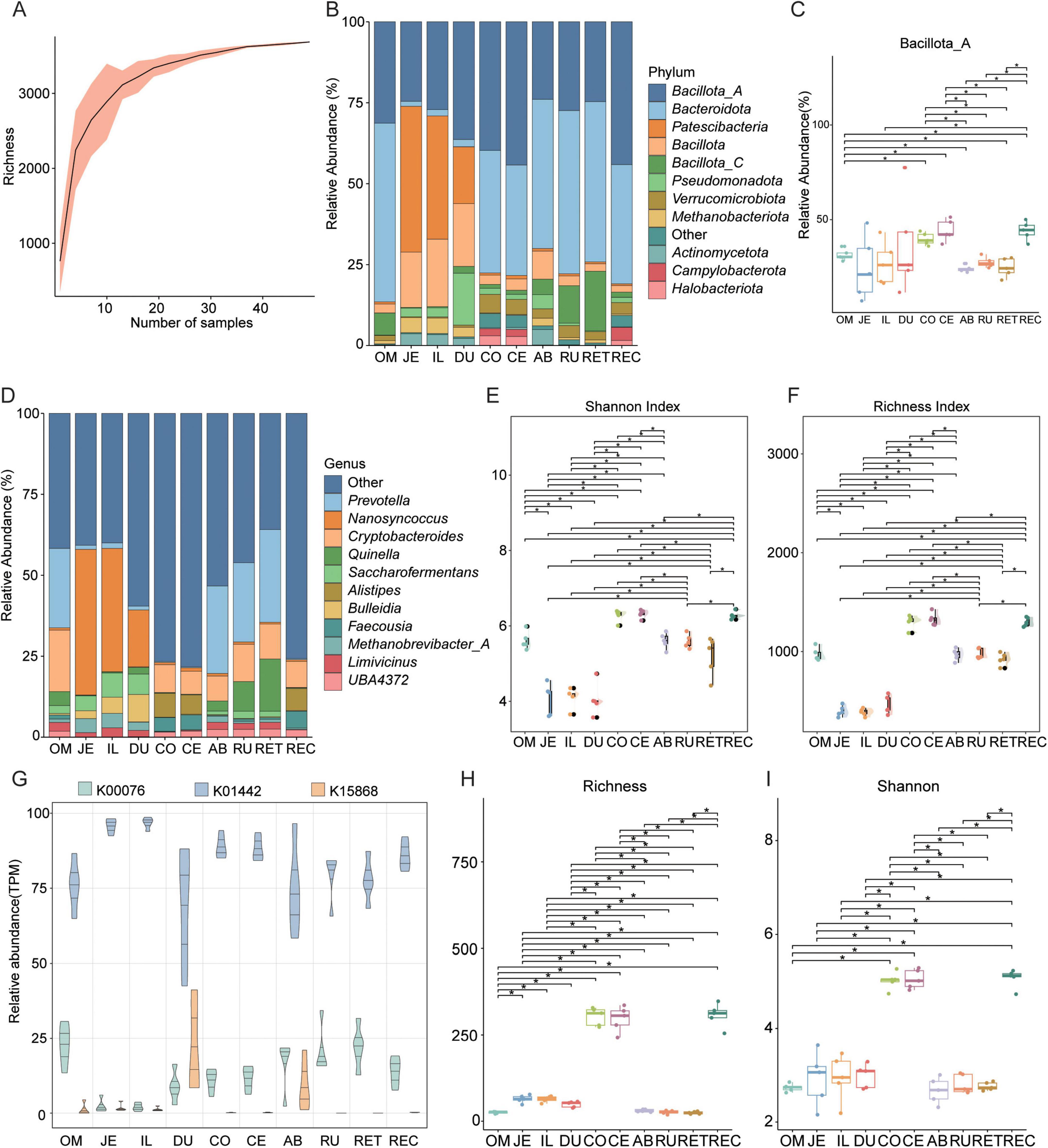 Composite image showing microbiome diversity and abundance analysis across different samples. Panel A displays a richness curve. Panel B and D present bar charts of relative abundance percentages by phylum and genus. Panel C shows a box plot of Bacillota_A’s relative abundance. Panel E and F illustrate Shannon and Richness indices. Panel G is a box plot comparing relative abundances of K00076, K01442, and K15688. Panel H and I depict Richness and Shannon indices with statistical comparisons across samples labeled OM, JE, IL, DU, CO, CE, AB, RU, RET, and REC.