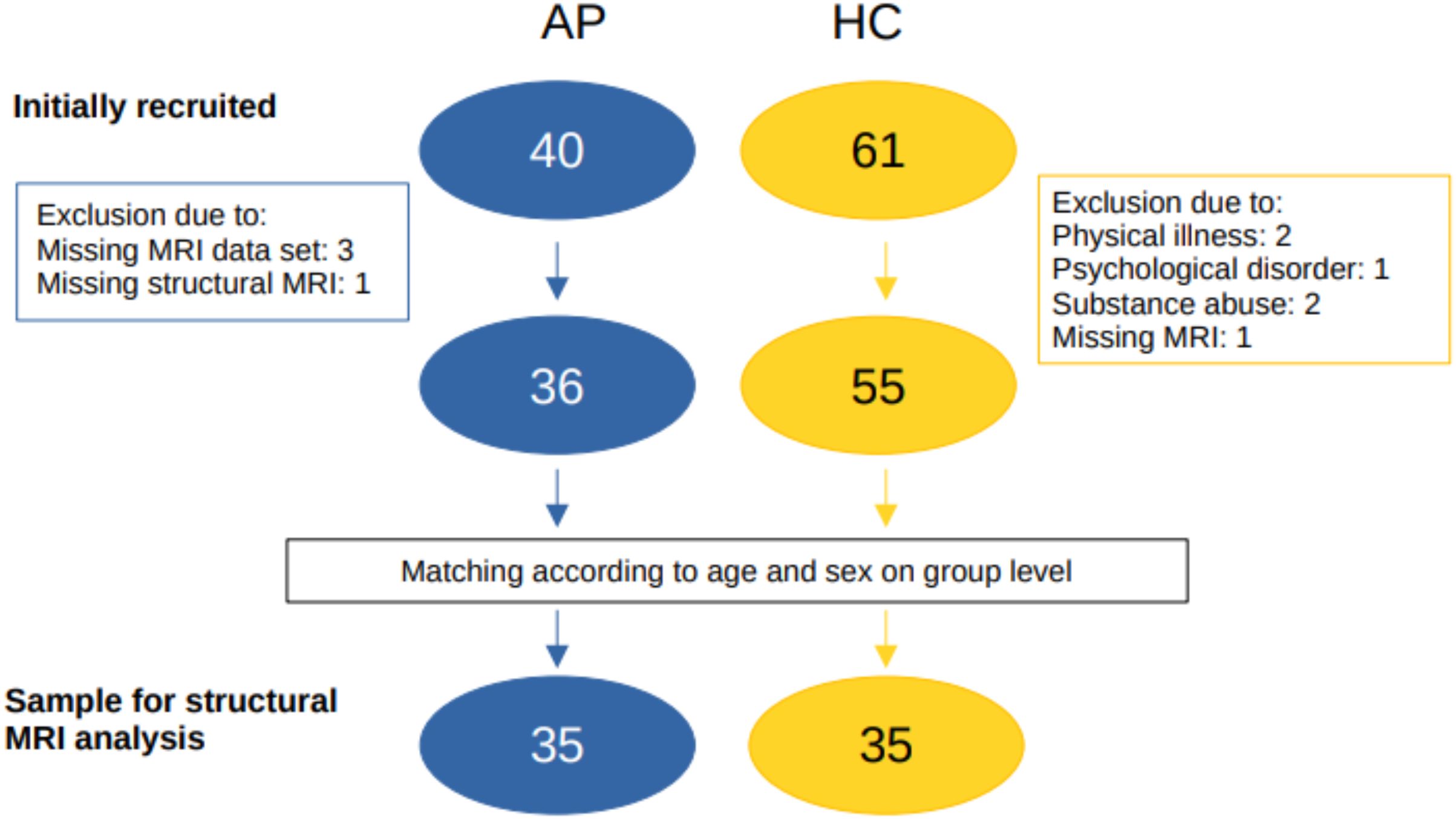 Flowchart depicting participant recruitment and selection for MRI analysis. Initially, 40 patients with suspected autoimmune psychosis spectrum syndromes were available. After group matching for age and sex, the final sample for MRI analysis included 35 patients and 35 healthy controls.