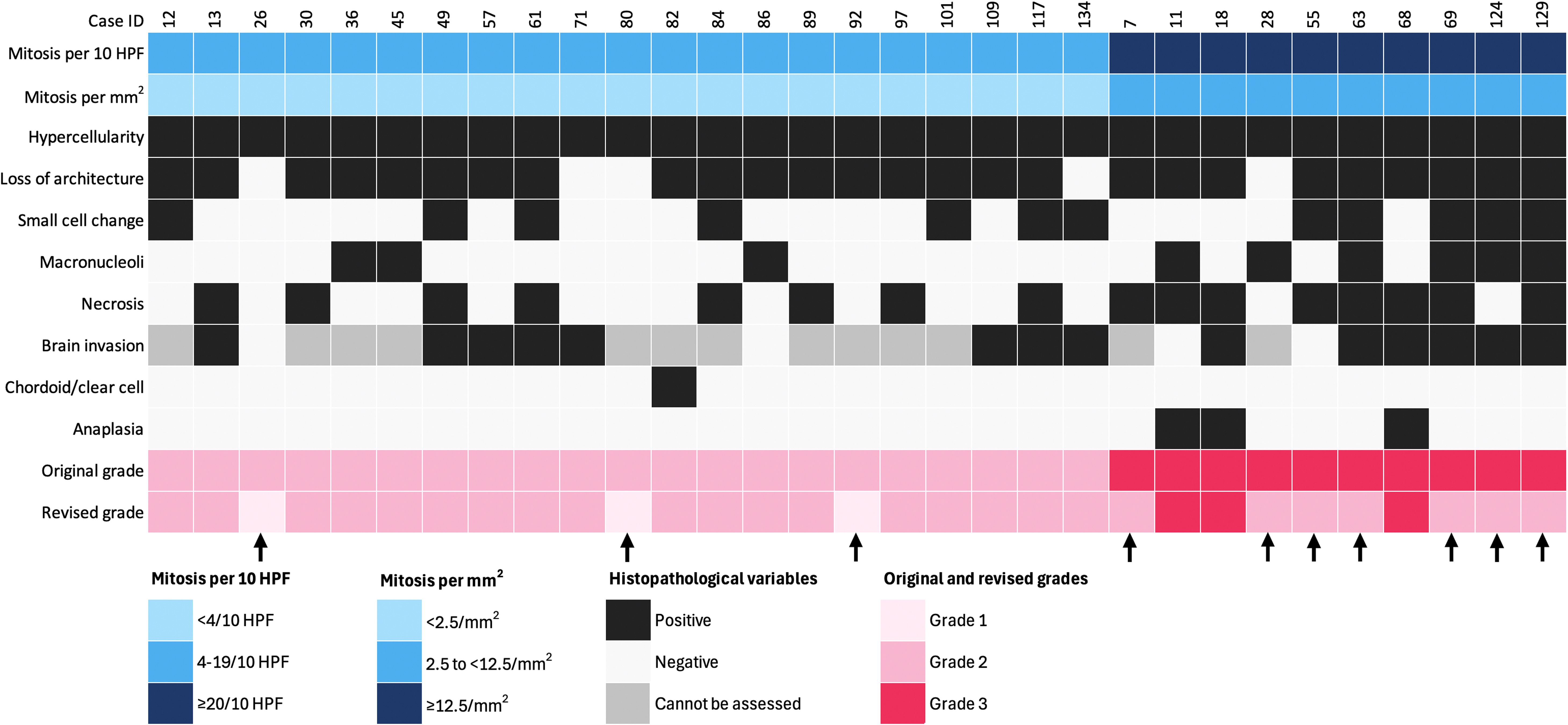 Chart illustrating histopathological features for cases 12 to 129, including mitotic count per HPF and per mm², along with binary indicators for hypercellularity, loss of architecture, small cell change, necrosis, and brain invasion (positive, negative, or unassessable). Color-coding highlights mitotic activity (blue shades) and tumor grades—both original and revised (pink shades).
