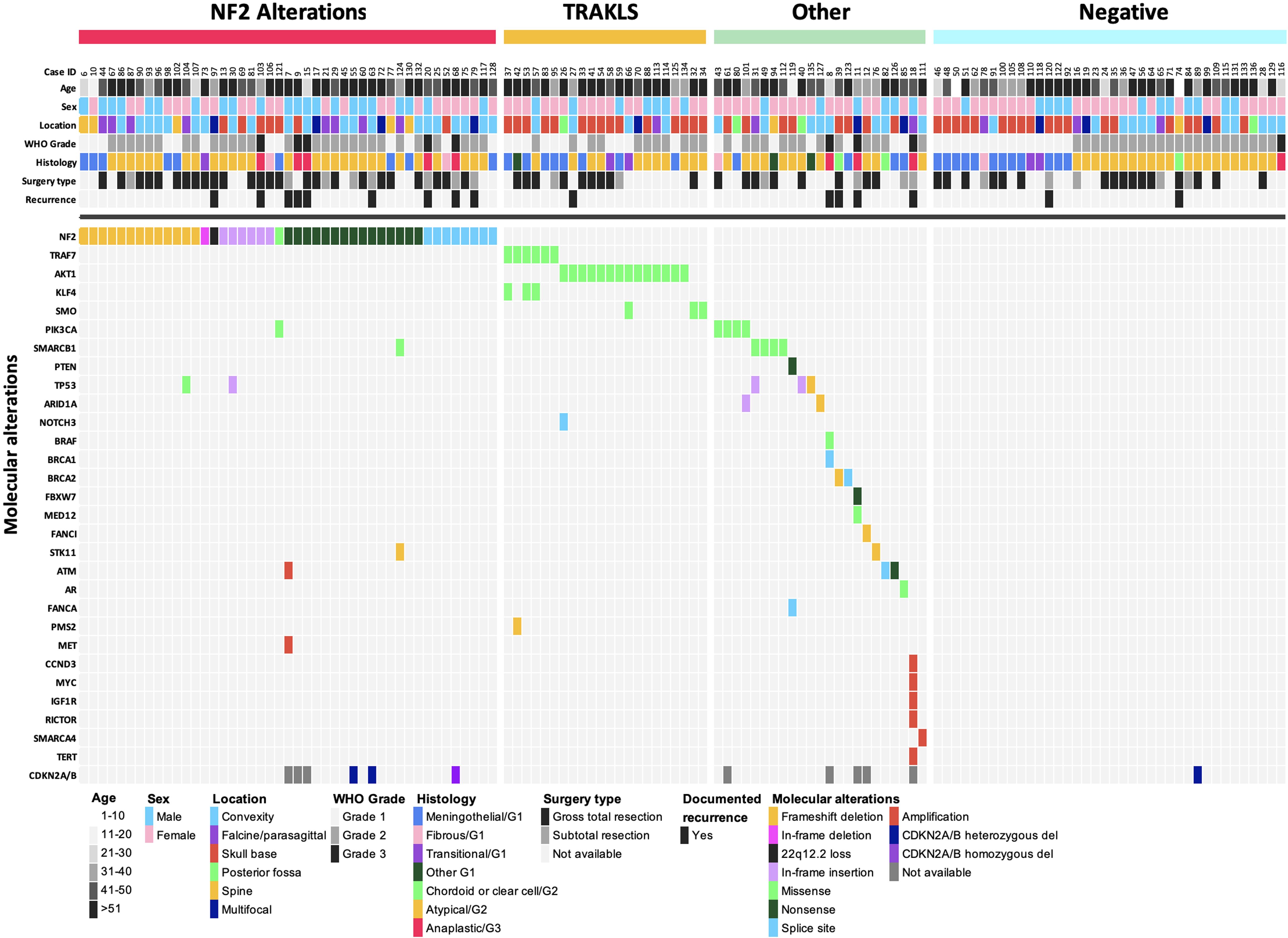 Heatmap displaying the molecular and clinical data of cases, categorized into NF2 Alterations, TRAKLS, Other, and Negative. Each column represents a patient, and each row corresponds to a variable: age, sex, tumor location, WHO grade, histology, surgery type, and recurrence status. Molecular alterations (such as NF2, TRAF7, AKT1) are color-coded. A legend explains the color scheme for all clinical and molecular variables.