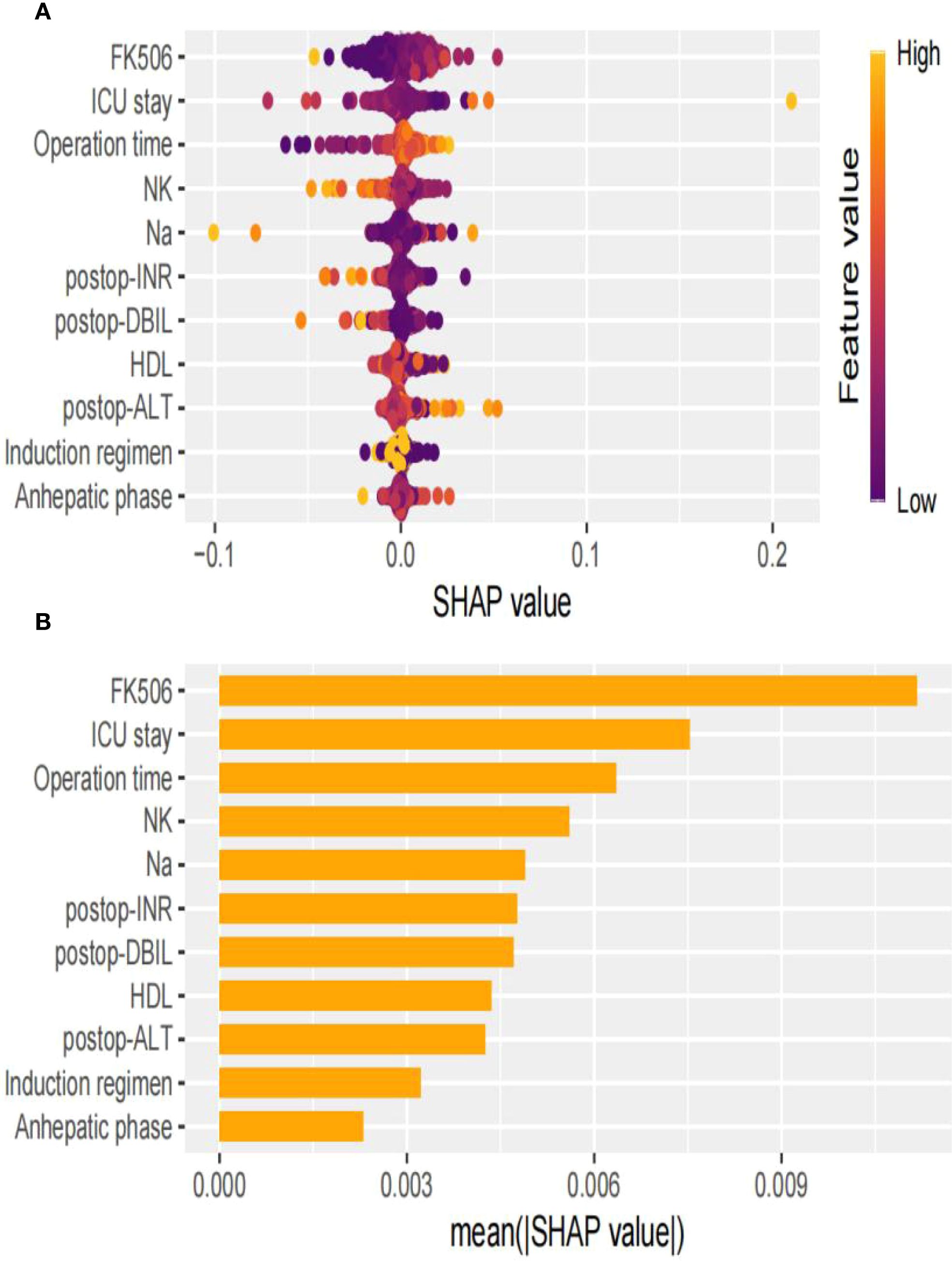 Panel A displays a SHAP value dot plot with various features such as FK506, ICU stay, and operation time on the y-axis, and SHAP values on the x-axis. Colors indicate feature value, from low (purple) to high (yellow). Panel B shows a bar chart of mean absolute SHAP values for the same features, highlighting FK506 as the most significant. Both panels illustrate the impact and importance of features in a model.