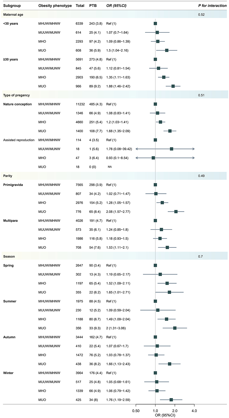 Forest plot showing odds ratios (OR) and 95% confidence intervals (CI) for preterm birth (PTB) rates across various subgroups: maternal age, type of pregnancy, parity, and season. The plot includes obesity phenotypes: MHUW/MHNW, MUUW/MUNW, MHO, and MUO. Subgroups are shown with total numbers and PTB percentage next to corresponding OR and CI. Horizontal lines represent CIs, with squares indicating OR values across a scale from 0.5 to 4. Interaction P-values are noted for each category.