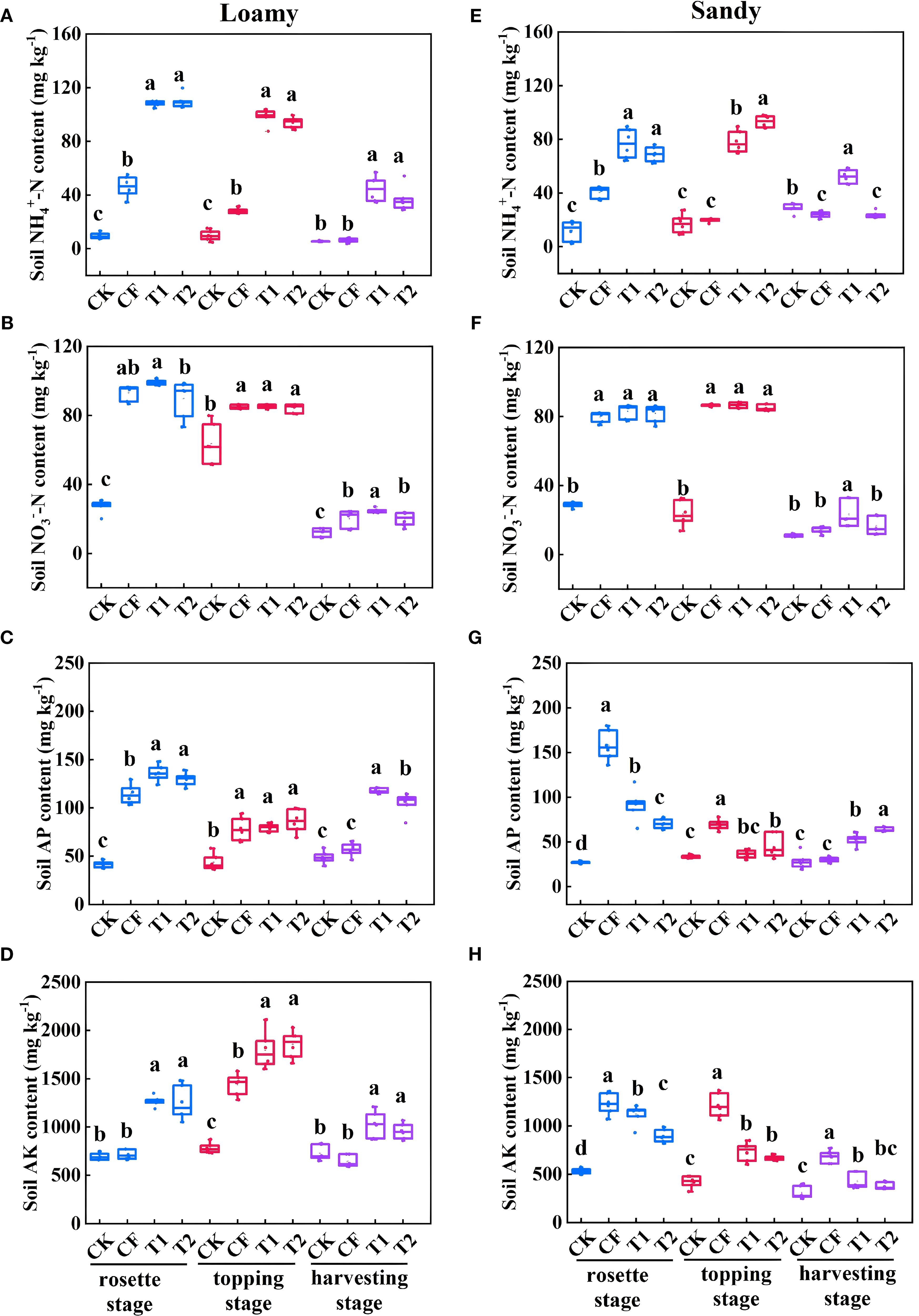 Eight box plot graphs showing soil nutrient content comparisons in loamy and sandy soils across different growth stages. Panels A to D represent loamy soil's NH₄⁺-N, NO₃⁻-N, AP, and AK content, respectively. Panels E to H depict sandy soil's NH₄⁺-N, NO₃⁻-N, AP, and AK content. The x-axis shows treatments CK, CF, T1, T2 across rosette, topping, and harvesting stages. Nutrient levels are compared with letter groupings indicating statistical significance.