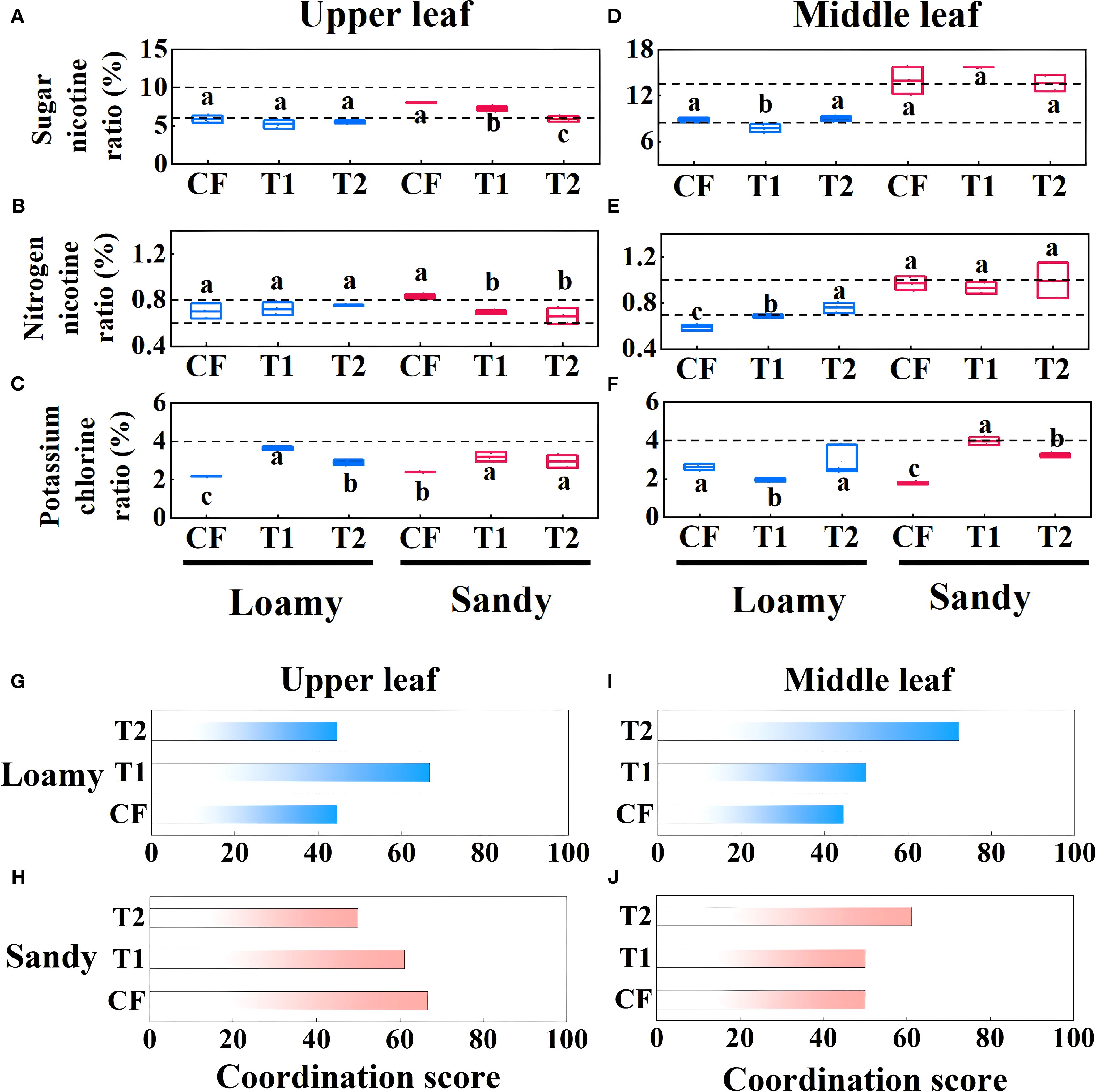 Box plots and bar charts illustrate the sugar-nicotine, nitrogen-nicotine, and potassium-choline ratios in upper and middle leaves, comparing loamy and sandy soils. Graphs (A-F) show nutrient ratios, while (G-J) display coordination scores for treatments CF, T1, and T2, with significant differences marked by letters.
