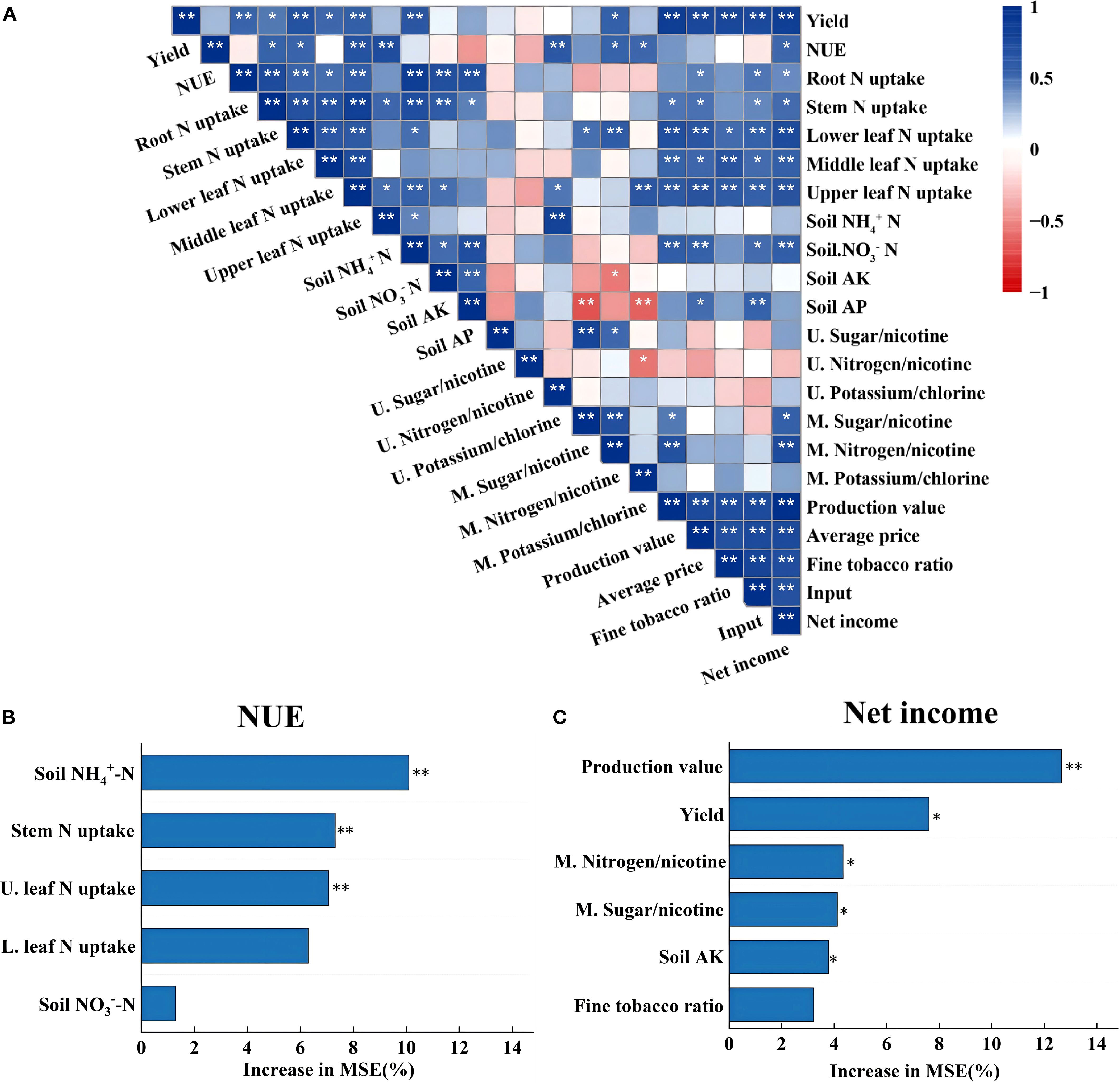 Heat map and bar charts showing agricultural data relationships and influences. Panel A: Correlation heat map with color gradient from red to blue indicating negative to positive correlations among various agricultural metrics, such as yield, nitrogen uptake, and soil nutrients. Notable correlations are highlighted with asterisks. Panel B: Bar chart labeled NUE displaying the increase in mean square error (MSE) for various factors affecting nitrogen use efficiency, with significant influences marked by asterisks. Panel C: Bar chart labeled Net income showing MSE increases for factors affecting net income, with significant influences also marked.