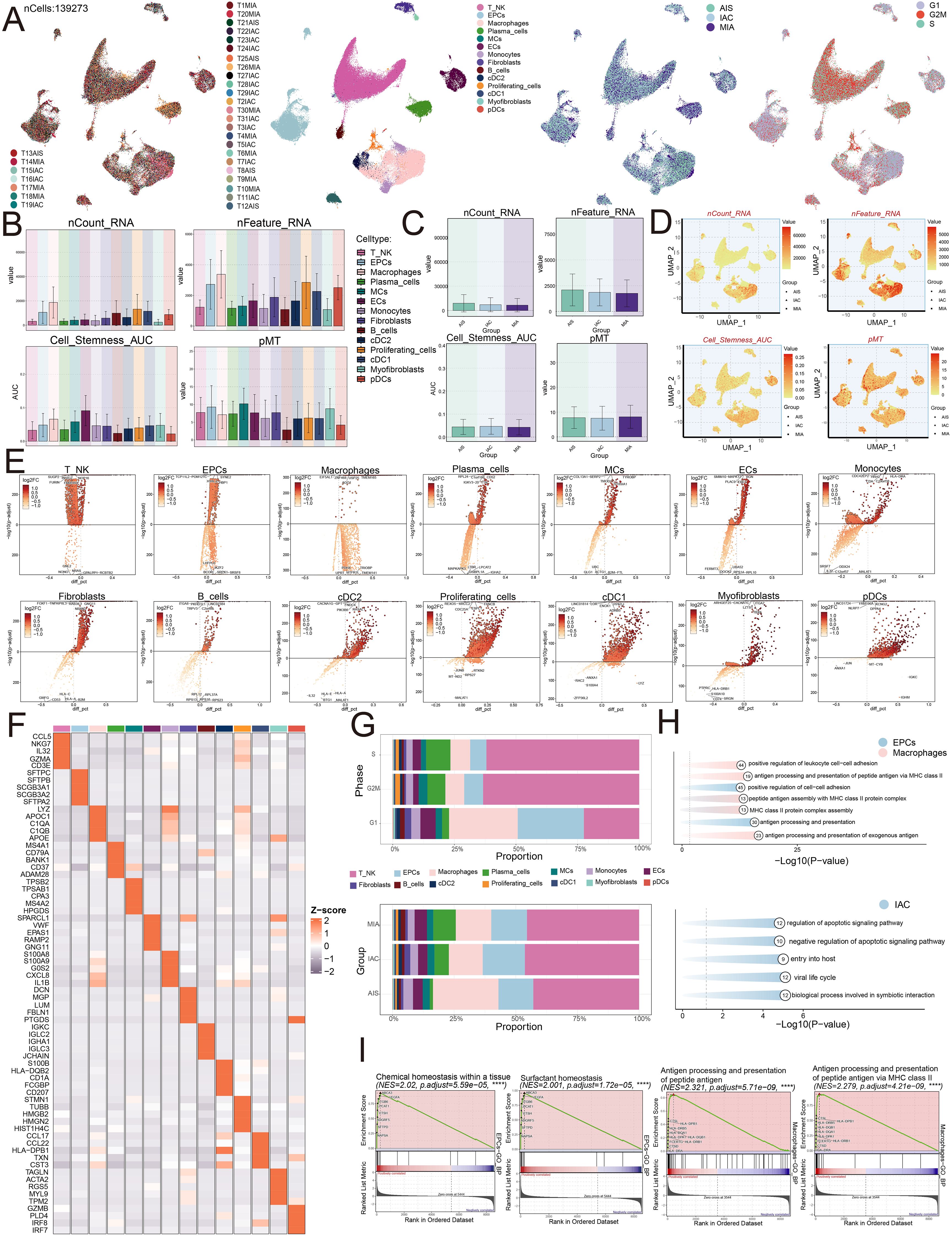 A scientific figure with multiple panels showcasing data visualization and analysis. Panel A includes a UMAP plot with color-coded cell types. Panel B shows bar graphs of nCount_RNA, nFeature_RNA, Cell_Stemness_AUC, and pMT. Panel C presents comparative box plots. Panel D includes UMAP plots with various data overlays. Panel E features scatter plots for different cell types. Panel F shows a heatmap of gene expression z-scores. Panel G provides bar graphs of phase and gene proportion. Panel H includes a list of biological processes with negative log p-values. Panel I shows gene set enrichment analysis plots.