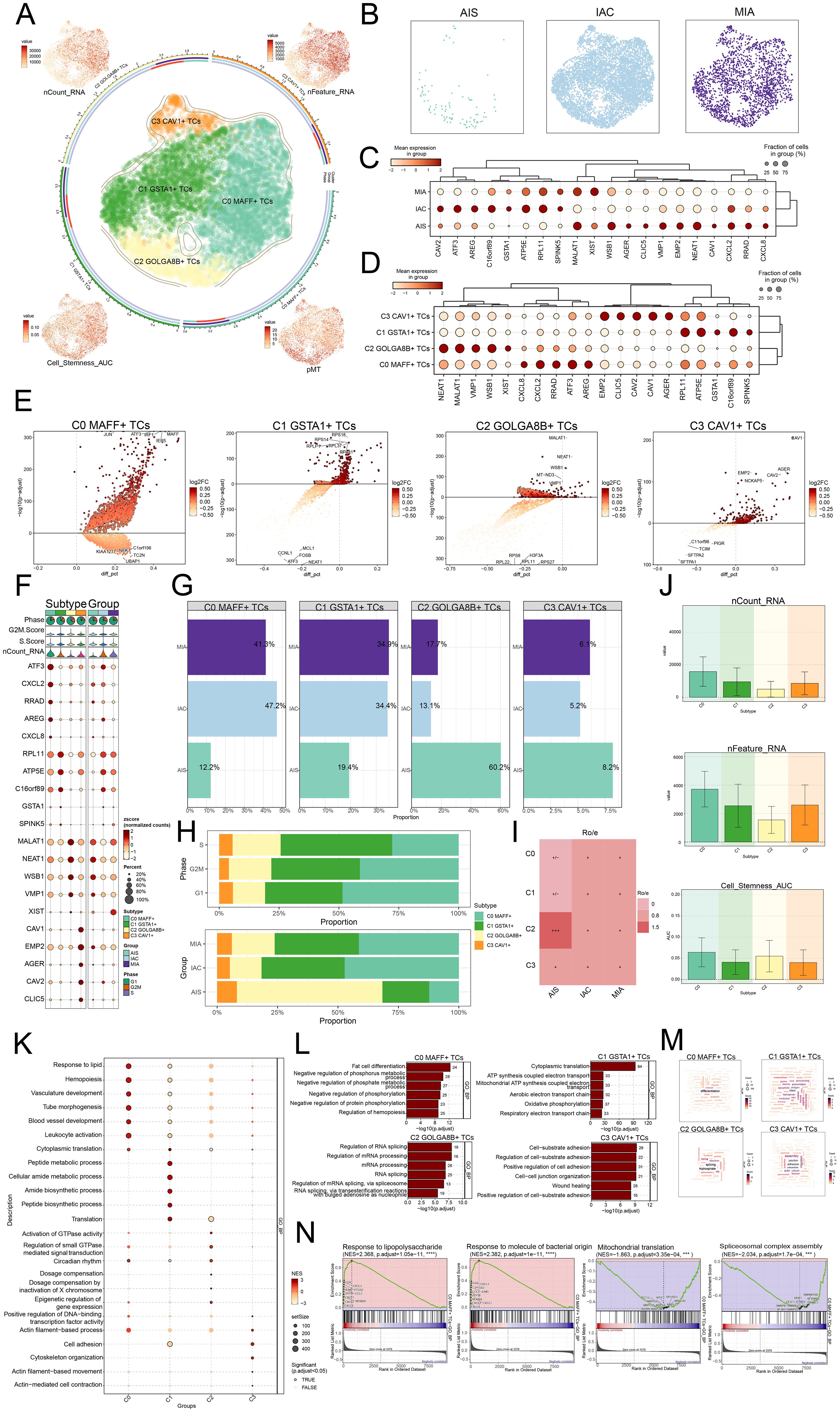 Comprehensive scientific visualization of cell data, featuring various analytical methods, including UMAP plots, heat maps, bar charts, and correlation plots. Each panel, labeled A through N, displays different analyses, such as gene expression, cell subtype distribution, and enrichment processes. Panel A shows integration of multiple datasets; panels B and C show clustering and expression correlations; panel D focuses on specific marker expressions among different clusters; panels E through N highlight pathway analyses, group comparisons, and functional enrichments across cell types. Each figure supports a broader study on cellular characteristics and distinctions.