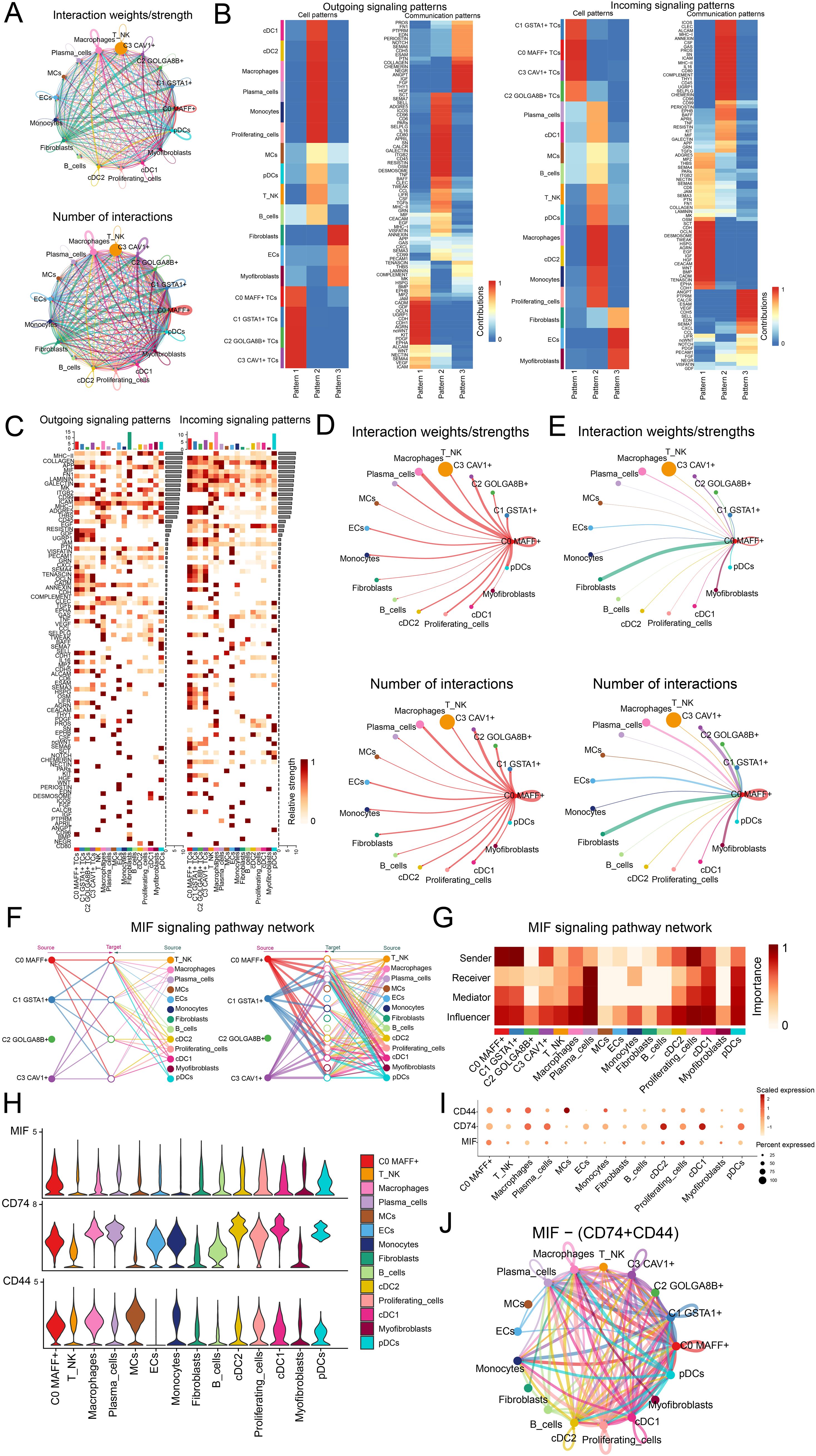 Diagram showcasing cellular interaction networks and signaling pathways. Panel A illustrates interaction weights/strength and the number of interactions among various cell types. Panel B features heatmaps of outgoing and incoming signaling patterns. Panel C displays heatmaps indicating relative interaction strengths. Panels D and E depict interaction weights/strength and the number of interactions in detailed diagrams. Panel F outlines the MIF signaling pathway network. Panel G shows the importance of roles within the network. Panel H presents violin plots of MIF, CD74, and CD44 expressions across cell types. Panel I shows dot plots of gene expression, and Panel J visualizes MIF-related interactions.