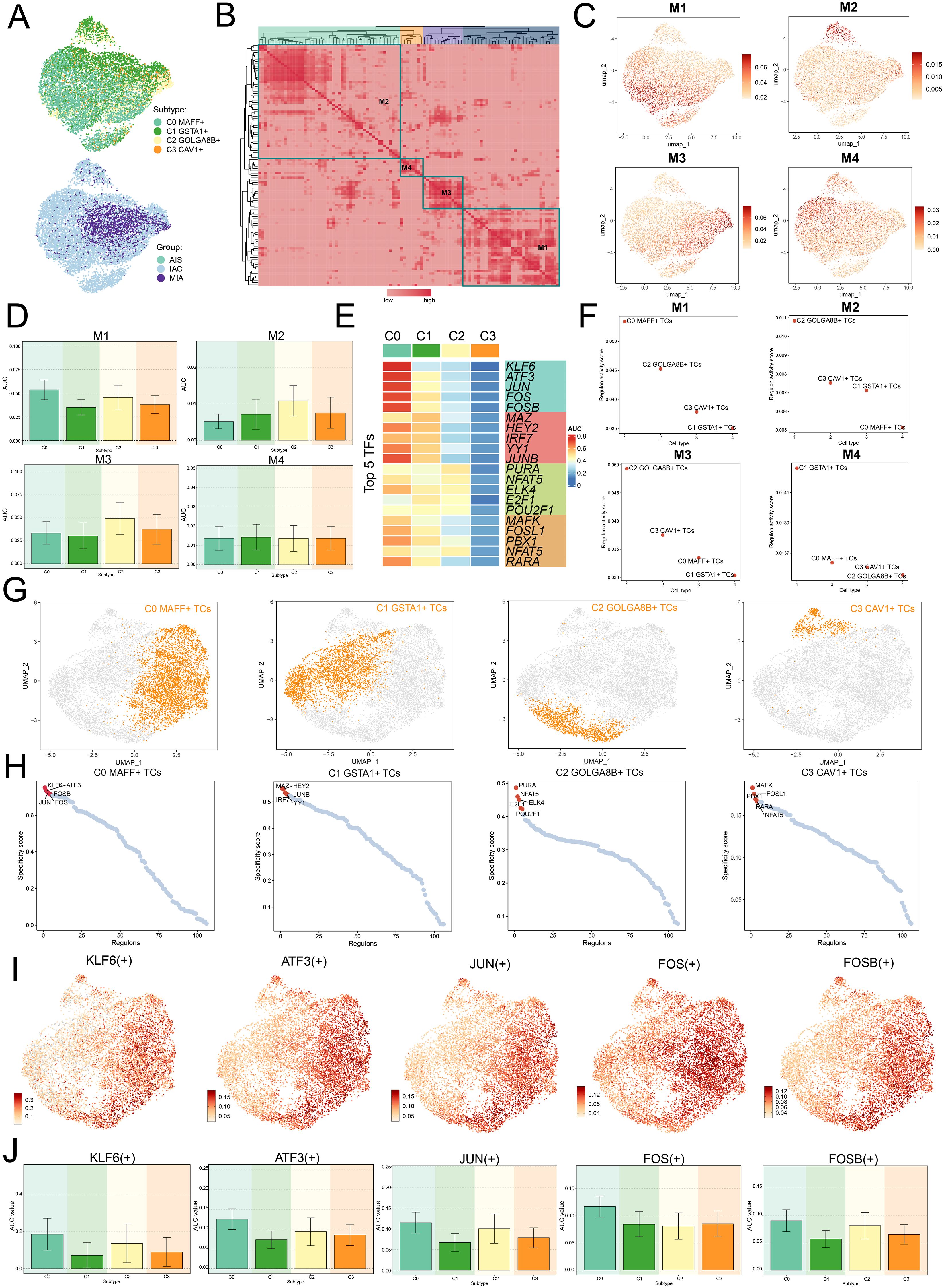 A series of scientific visualizations depicting data analysis. Panel A shows UMAP plots representing subtypes and groups, with various colors indicating different categories. Panel B is a heatmap indicating hierarchical clustering with distinct clusters. Panel C includes scatterplots for modules M1 to M4 with varying intensity. Panel D displays bar graphs for M1 to M4 showing measurements across subtypes. Panel E features a heatmap with top transcription factors across clusters C0 to C3. Panel F shows bar charts comparing modules across clusters. Panel G showcases UMAP plots highlighting specific clusters. Panel H presents scatterplots with specificity scores. Panels I and J contain UMAP and bar graphs for selected genes marked positively.