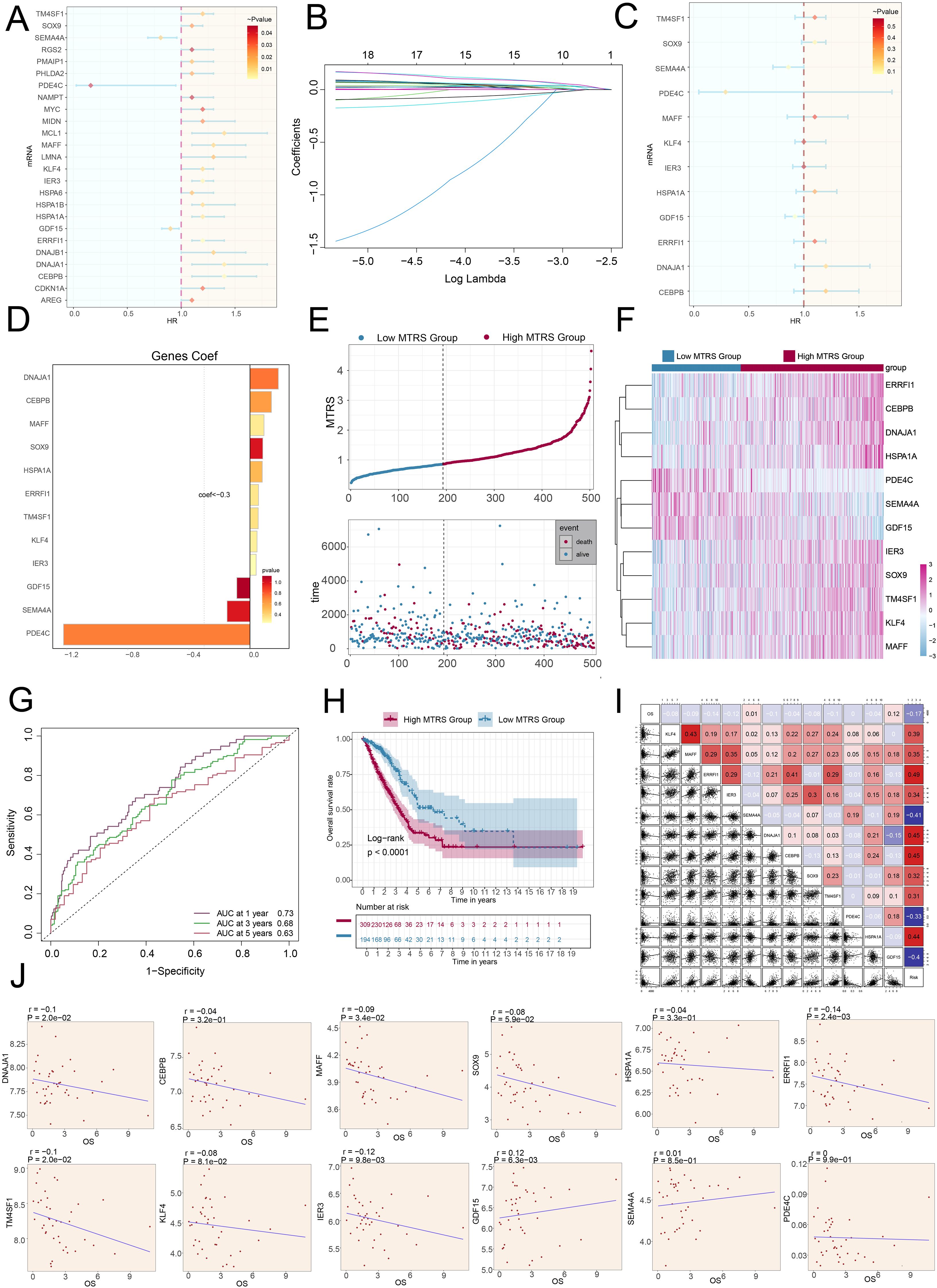 Grouped images depict various analytical charts and graphs related to gene expression and risk stratification: A. Forest plot showing hazard ratios (HR) with p-values for different genes. B. Line graph depicting coefficients against log Lambda. C. Another forest plot with HR and p-values. D. Bar chart illustrating gene coefficients. E. Plots comparing MTRS in low and high groups, with event data. F. Heatmap segregating low and high MTRS groups. G. ROC curves showing sensitivity and specificity at different time points. H. Kaplan-Meier survival curves for high and low MTRS groups. I. Correlation matrix with plots and coefficients. J. Scatter plots with regression lines showing gene correlations. Each chart provides detailed statistical insights.
