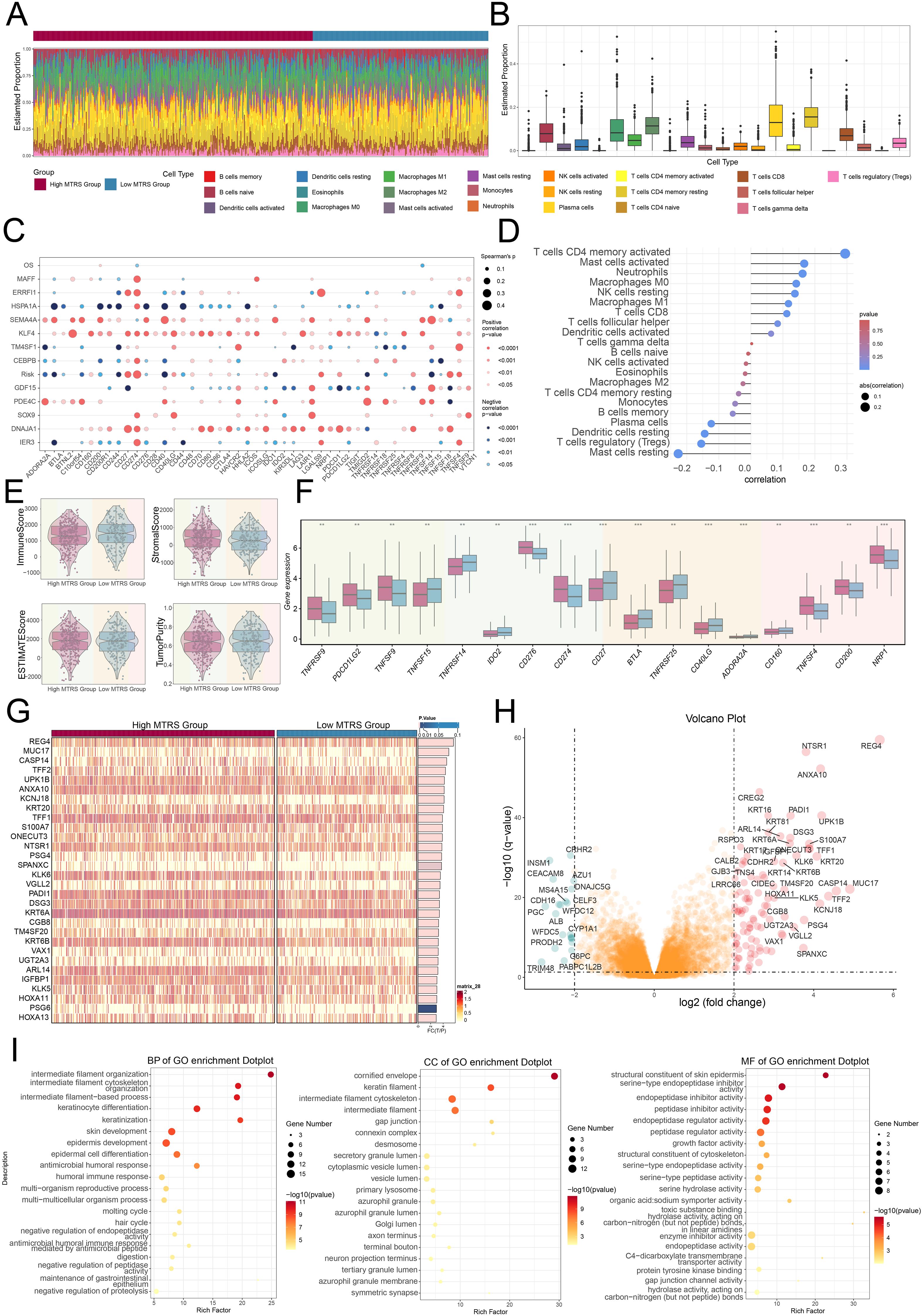 Composite image of various data visualizations related to cellular and molecular analysis: A. Stacked area plot displaying cell type proportions across high and low MTRS groups with color-coded legend. B. Box plots comparing proportions of different cell types. C. Dot plot illustrating correlations between gene expressions. D. Correlation plot with colored dots representing correlation strength. E. Violin plots showing immunoscore, stromal score, and ESTIMATE score distributions. F. Box plots of gene expressions comparing two groups. G. Heatmap of gene expressions across groups, highlighting differences. H. Volcano plot showing gene expression changes with highlighted significant genes. I. GO enrichment dot plots displaying biological processes, cellular components, and molecular functions with gene numbers and significance.