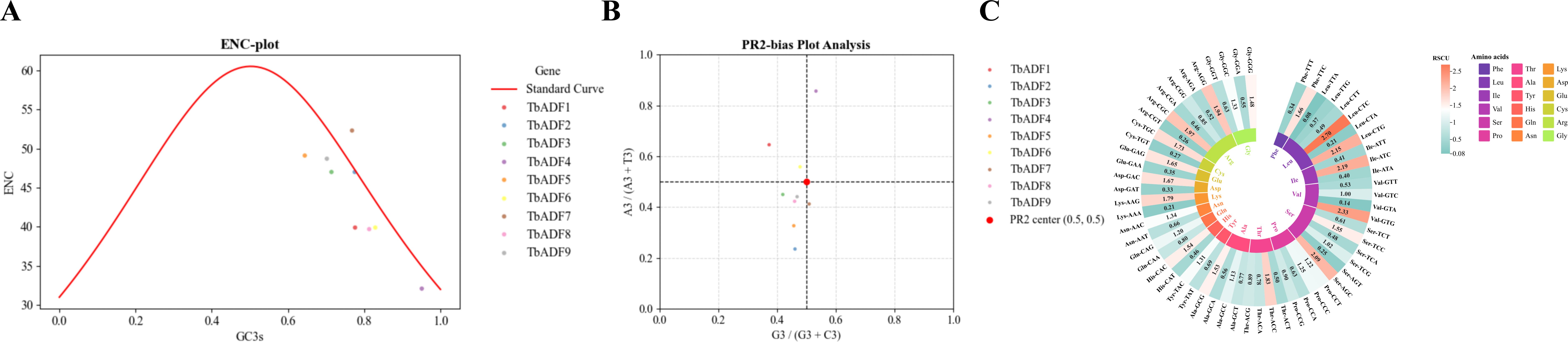 Panel A: An ENC plot with a curved red line representing the standard curve. Colored dots indicate various TbADF genes plotted against GC3s values. Panel B: PR2-bias plot showing TbADF genes with a red dot at the center (0.5, 0.5) representing PR2 center. Panel C: Circular chart depicting Relative Synonymous Codon Usage (RSCU) for amino acids. A color scale indicates RSCU values, with annotations for amino acids and respective codons.