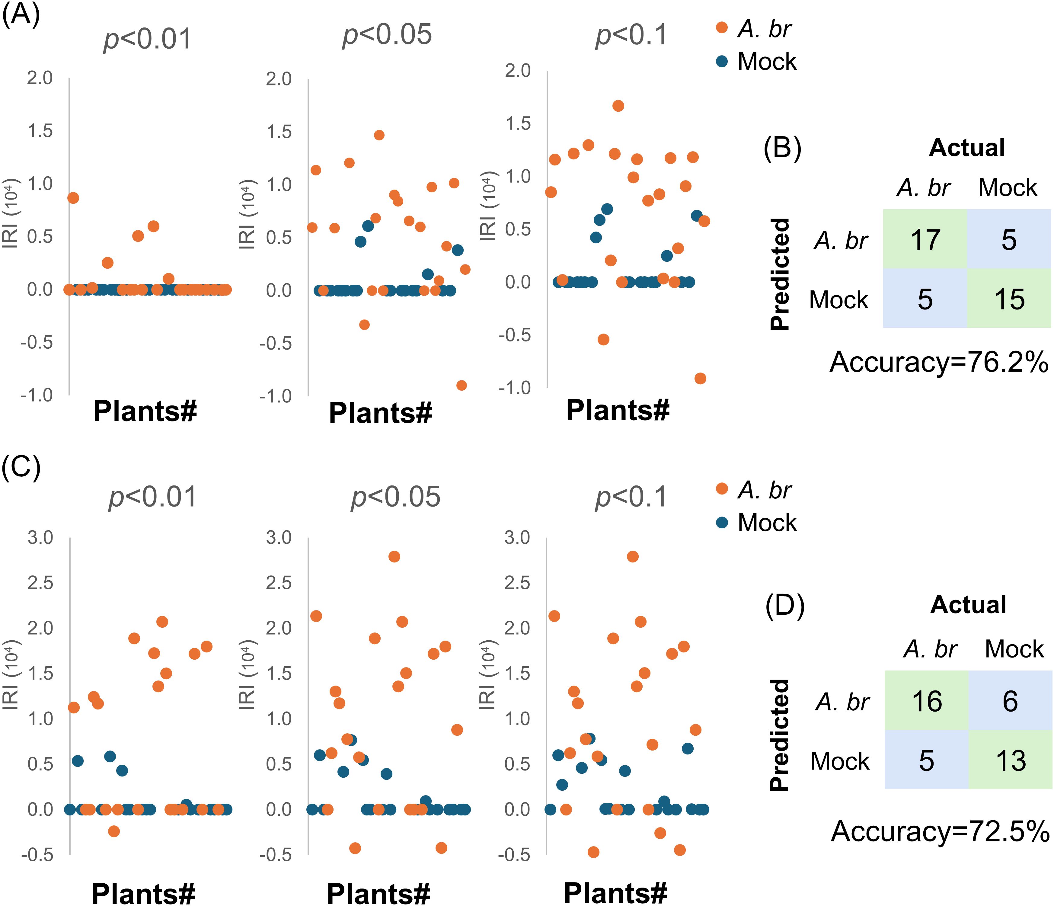 Scatter plots and confusion matrices compare the effects of two treatments, A. br (orange) and Mock (blue), on plants. Plots (A) and (C) show significant differences at p-values of less than 0.01, 0.05, and 0.1 for IRI measurements. Confusion matrices (B) and (D) show predicted versus actual classifications, with accuracies of 76.2% and 72.5% respectively.