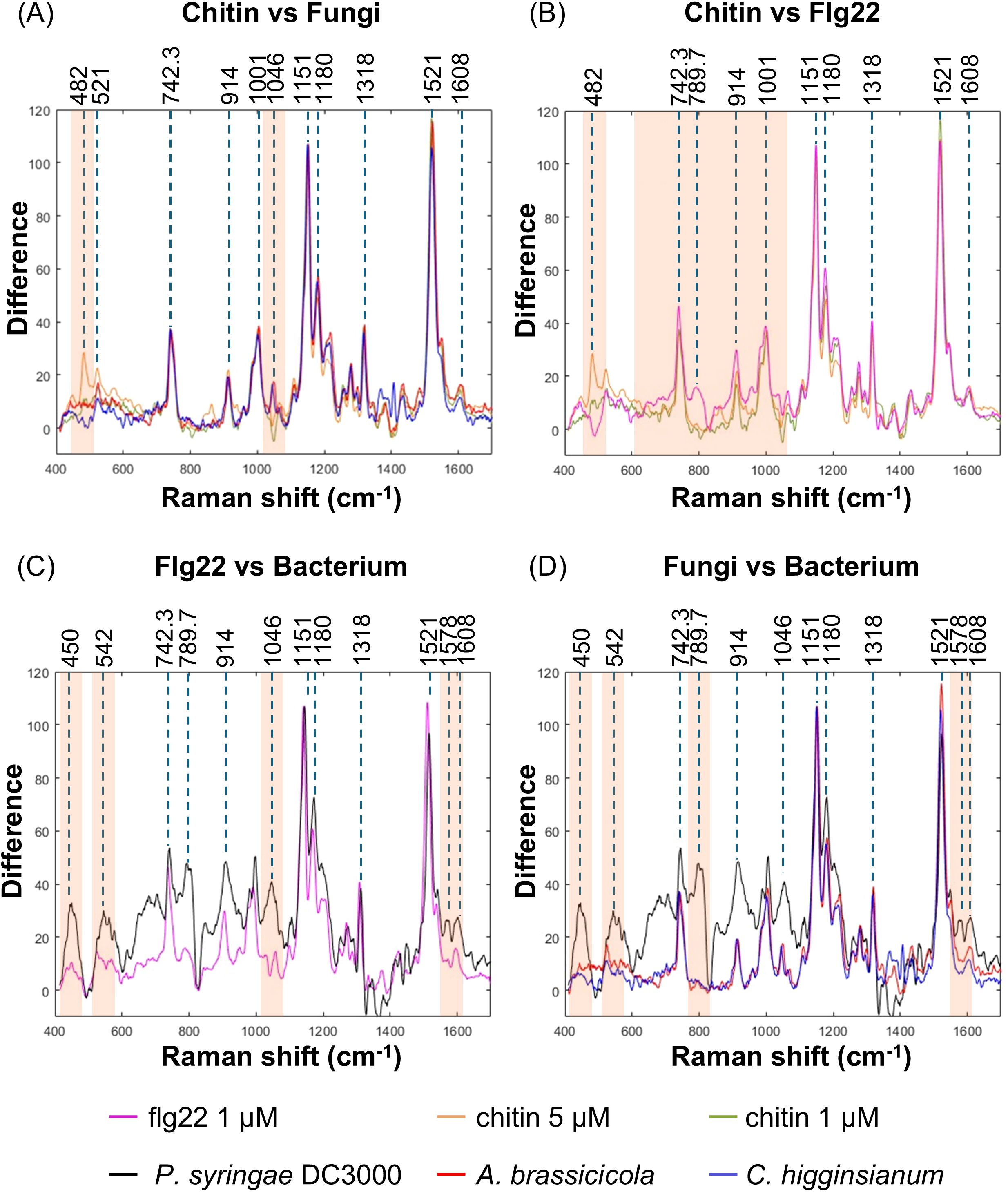 The figure consists of four panels (A-D) showing Raman spectra from leaves treated with different elicitors or pathogens. Panel A compares treatments with chitin and fungi, Panel B with chitin and Flg22, Panel C with Flg22 and a bacterium, and Panel D with fungi and a bacterium. The x-axis indicates Raman shifts in cm⁻¹, while the y-axis shows differences. Vertical dashed lines mark specific shifts. Color codes depict substances: pink for Flg22 (1 µM), black for P. syringae DC3000, orange for chitin (5 µM), dark brown for A. brassicicola, and blue for C. higginsianum.