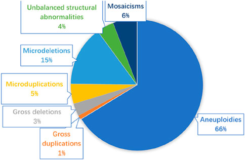 Pie chart displaying genetic abnormalities. Aneuploidies: 66%, Microdeletions: 15%, Microduplications: 5%, Mosaicisms: 6%, Unbalanced structural abnormalities: 4%, Gross deletions: 3%, Gross duplications: 1%.