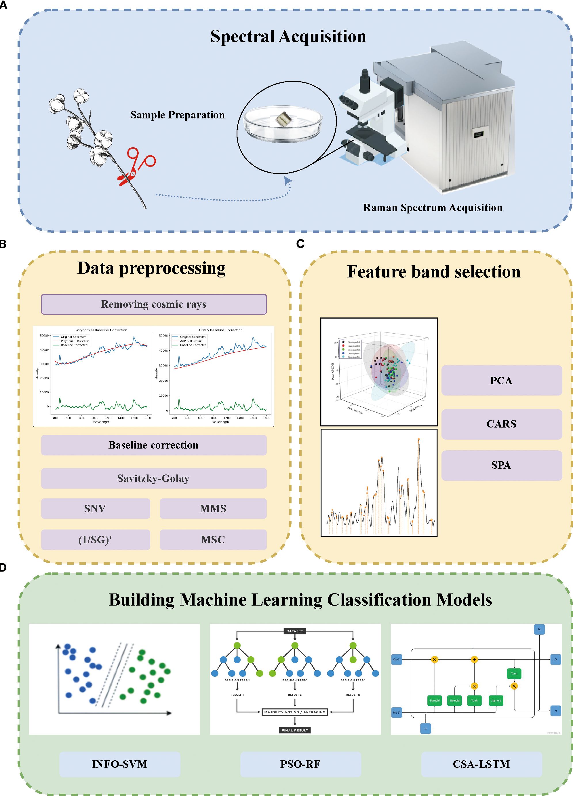 Flowchart illustrating a machine learning process for spectral analysis. Panel A shows spectral acquisition with sample preparation and Raman spectrum acquisition. Panel B covers data preprocessing, including cosmic ray removal, baseline correction, and various methods like SNV and MSC. Panel C involves feature band selection with methods like PCA and CARS. Panel D depicts building machine learning classification models using INFO-SVM, PSO-RF, and CSA-LSTM, featuring diagrams of classification techniques.