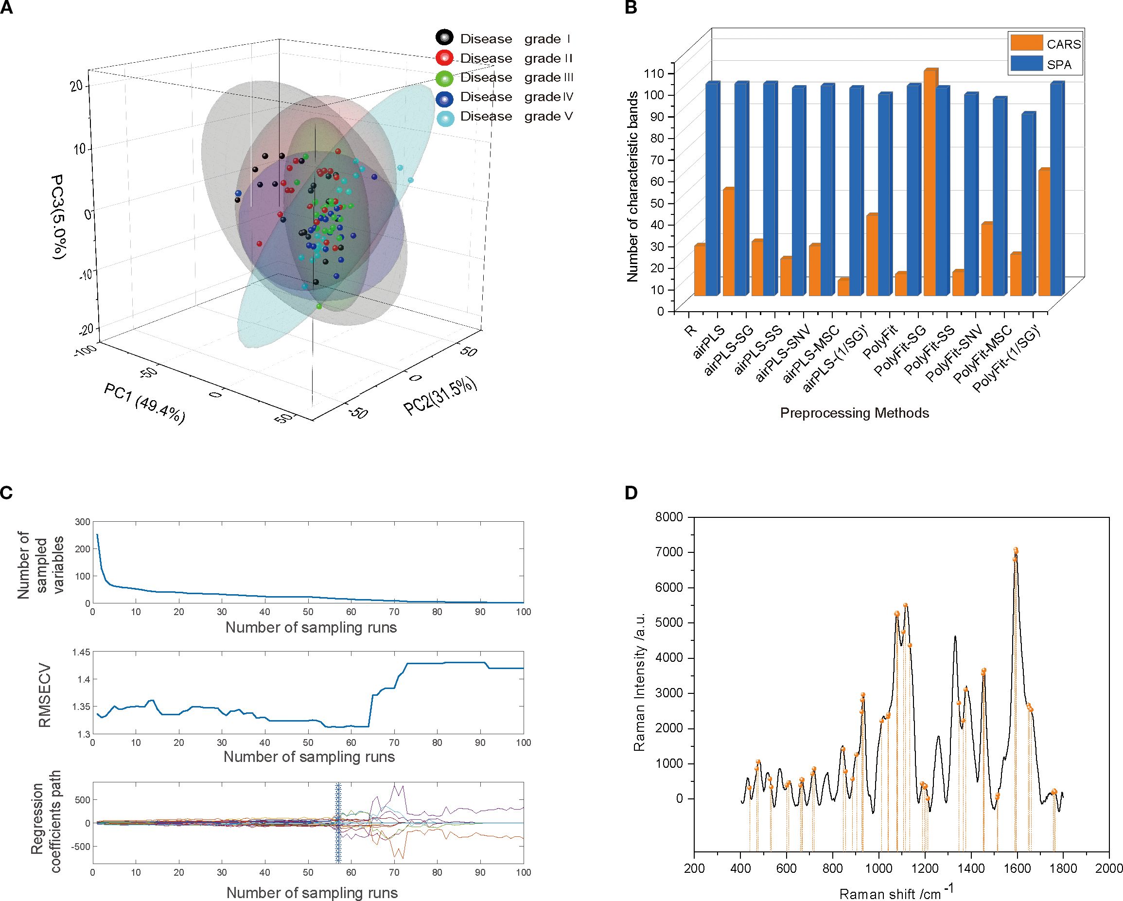 Panel A shows a 3D scatter plot with PCA results for disease grades I to V, each color-coded. Panel B is a bar graph comparing CARS and SPA characteristic bands. Panel C shows three line graphs illustrating the number of sampled variables, RMSECV, and regression coefficients over sampling runs. Panel D is a Raman spectrum graph depicting intensity peaks versus Raman shifts in wavenumbers.
