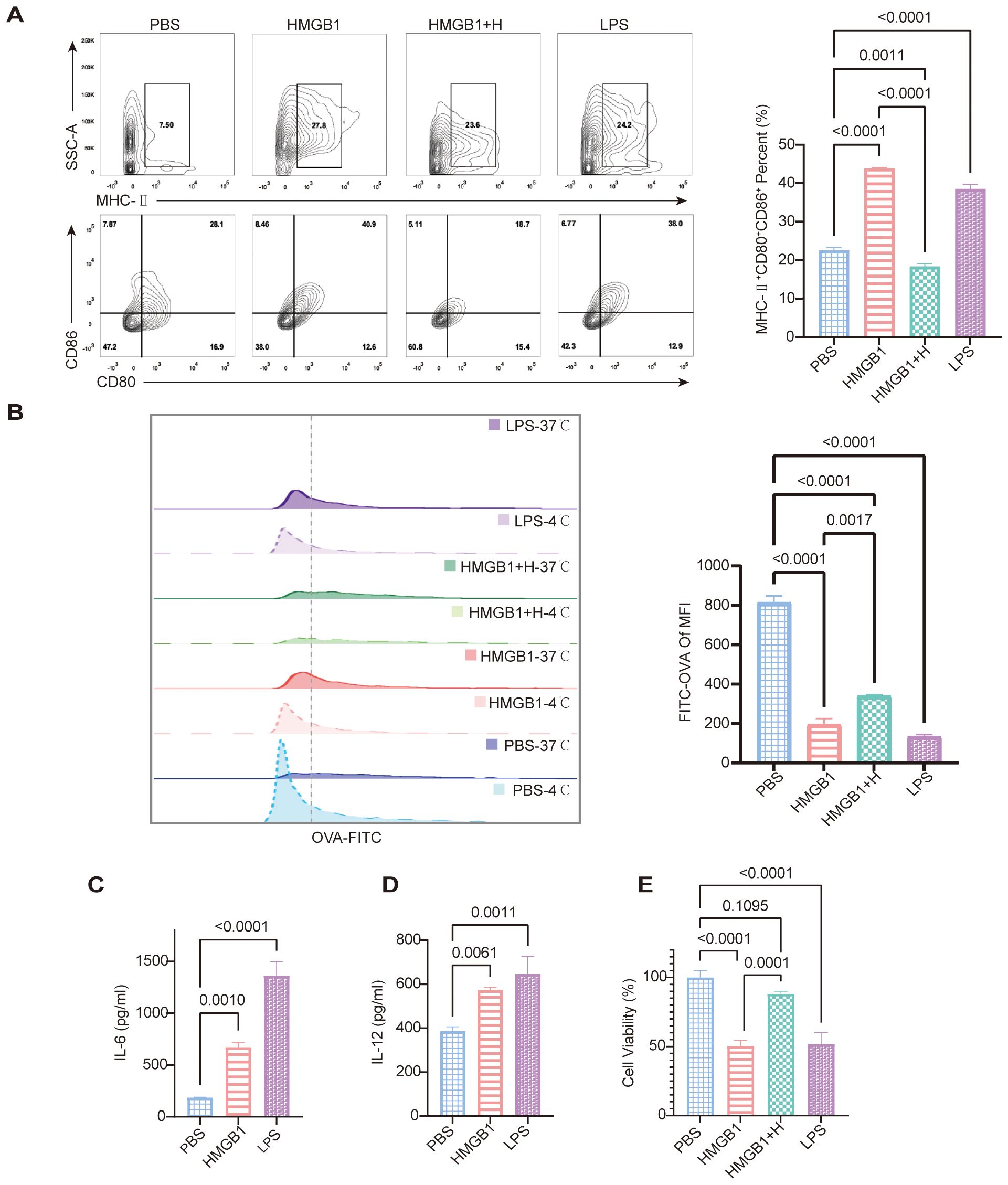 Scientific data visualization with flow cytometry plots and bar graphs analyzing immune responses and cell viability. Panel A displays changes in SSC-A and CD markers under different conditions (PBS, HMGB1, HMGB1+H, LPS), with a corresponding bar graph showing MHC II and co-stimulation percentages. Panel B illustrates OVA-FITC mean fluorescence intensity with violin plots and a bar graph. Panels C, D, and E show IL-6, IL-12 cytokine production, and cell viability percentages with significant statistical differences marked.