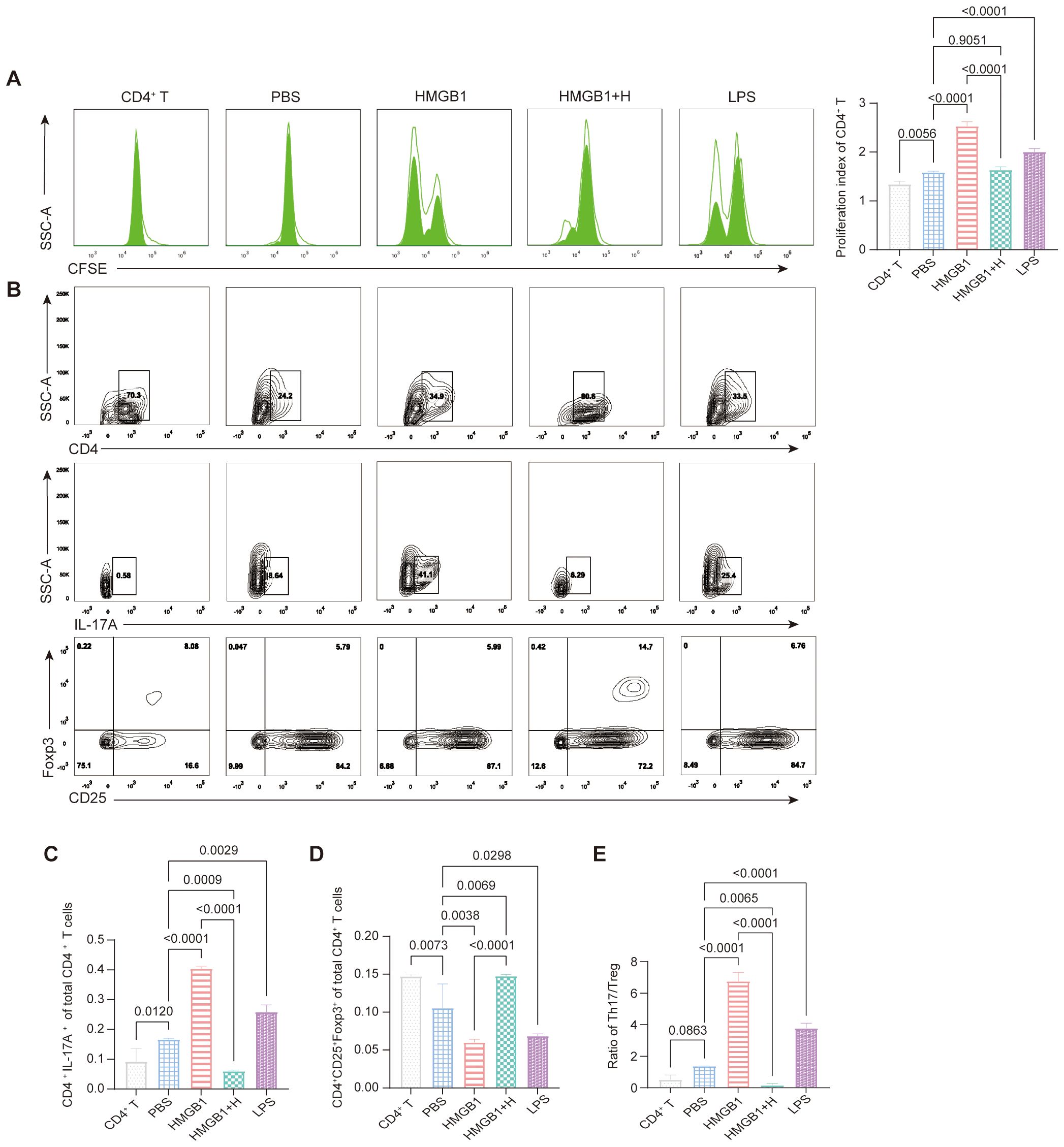 Flow cytometry analysis of CD4+ T cell proliferation under different treatments: CD4+ T, PBS, HMGB1, HMGB1+H, and LPS. Panel A shows histograms of cell proliferation. Panel B presents dot plots for CFSE, CD4, IL-17A, and Foxp3 expression. Panels C, D, and E provide bar graphs displaying statistical comparisons for percentages of CD4+ IL-17A+ T cells, CD4+ CD25+ Foxp3+ T cells, and the Th17/Treg ratio, respectively, with significant p-values marked.