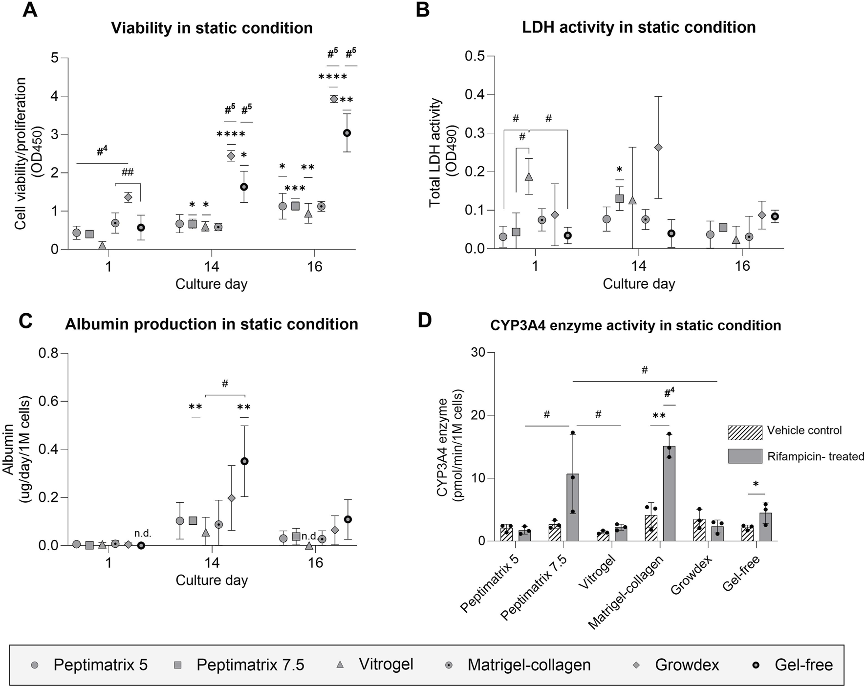 Graphs A through D illustrate various metrics in static conditions over specific culture days. Graph A shows cell viability/proliferation with increasing OD450 values from days one to sixteen. Graph B displays LDH activity with data points spread across days, peaking at day one. Graph C highlights albumin production, peaking at day fourteen. Graph D illustrates CYP3A4 enzyme activity across different gels and treatments, with rifampicin-treated groups showing higher activity compared to vehicle controls. Various symbols and error bars represent different gel types and conditions, showing statistical significance at different points.