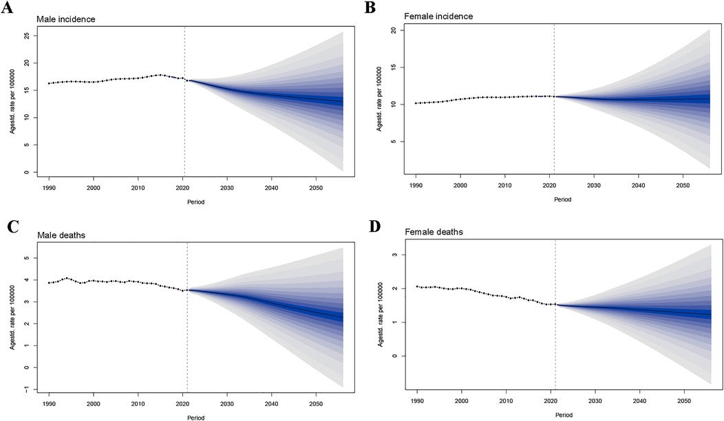Graphs labeled A to D show projections from 1990 to 2050. Graph A depicts male cancer incidence, graph B female incidence, graph C male deaths, and graph D female deaths. Each chart shows dotted lines until 2020, then diverging blue shading indicating projections. Male incidence and deaths have higher rates than females.
