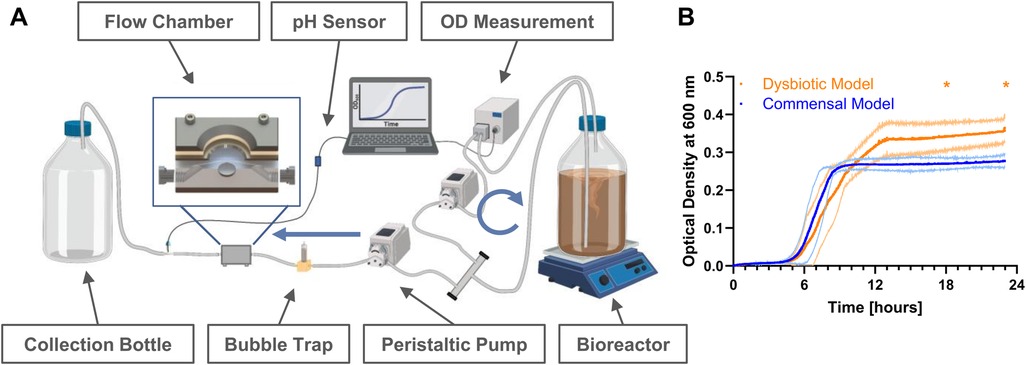 Diagram labeled \