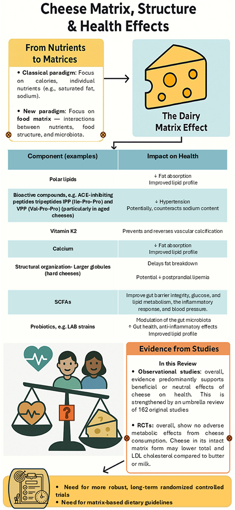 Infographic titled “Cheese Matrix, Structure & Health Effects” explores the transition from focusing on individual nutrients to considering the food matrix. It highlights components like polar lipids, bioactive compounds, vitamin K2, calcium, and probiotics, and their health impacts like reduced fat absorption and improved lipid profiles. It includes study evidence suggesting cheese's neutral or beneficial effects on health and notes the need for more robust long-term studies and dietary guidelines based on the matrix concept.