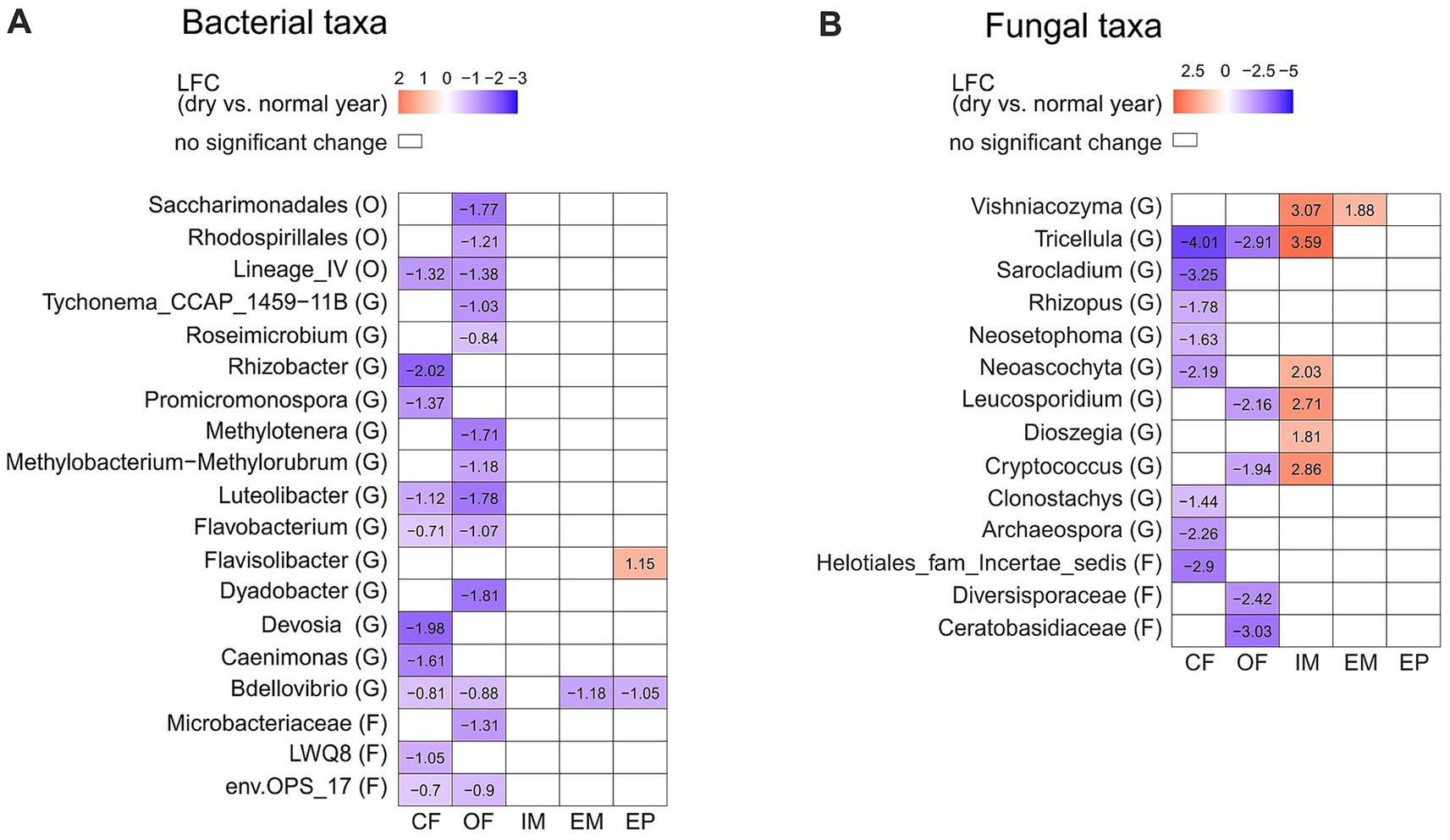Heatmaps showing log fold changes (LFC) for bacterial and fungal taxa during dry vs. normal years. Panel A displays bacterial taxa with LFCs ranging from positive to negative, indicating changes in abundance. Panel B shows fungal taxa with a similar range. Colors represent LFC magnitude, with red indicating increases and blue decreases. White indicates no significant change. Both panels list taxa names and corresponding LFC values across different conditions labeled as CF, OF, IM, EM, and EP.