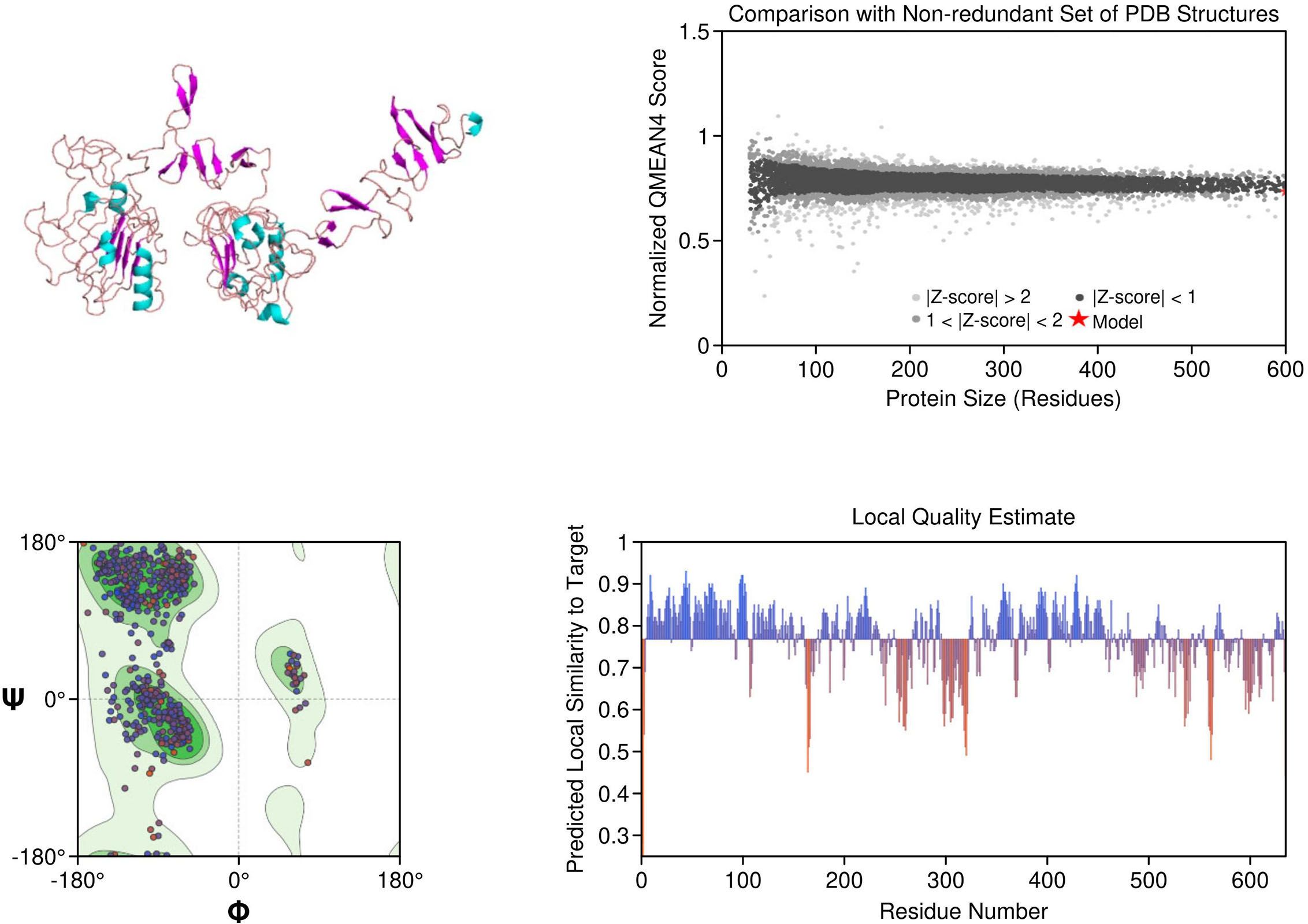 A: Diagram of a protein structure with strands in purple and helices in cyan. B: Scatter plot comparing QMEAN4 scores of protein models with a non-redundant PDB set, showing Z-scores. C: Ramachandran plot, indicating allowed phi and psi angles, with densely clustered points. D: Bar graph displaying predicted local similarity of residues to a target across the sequence, with values ranging from zero to one.