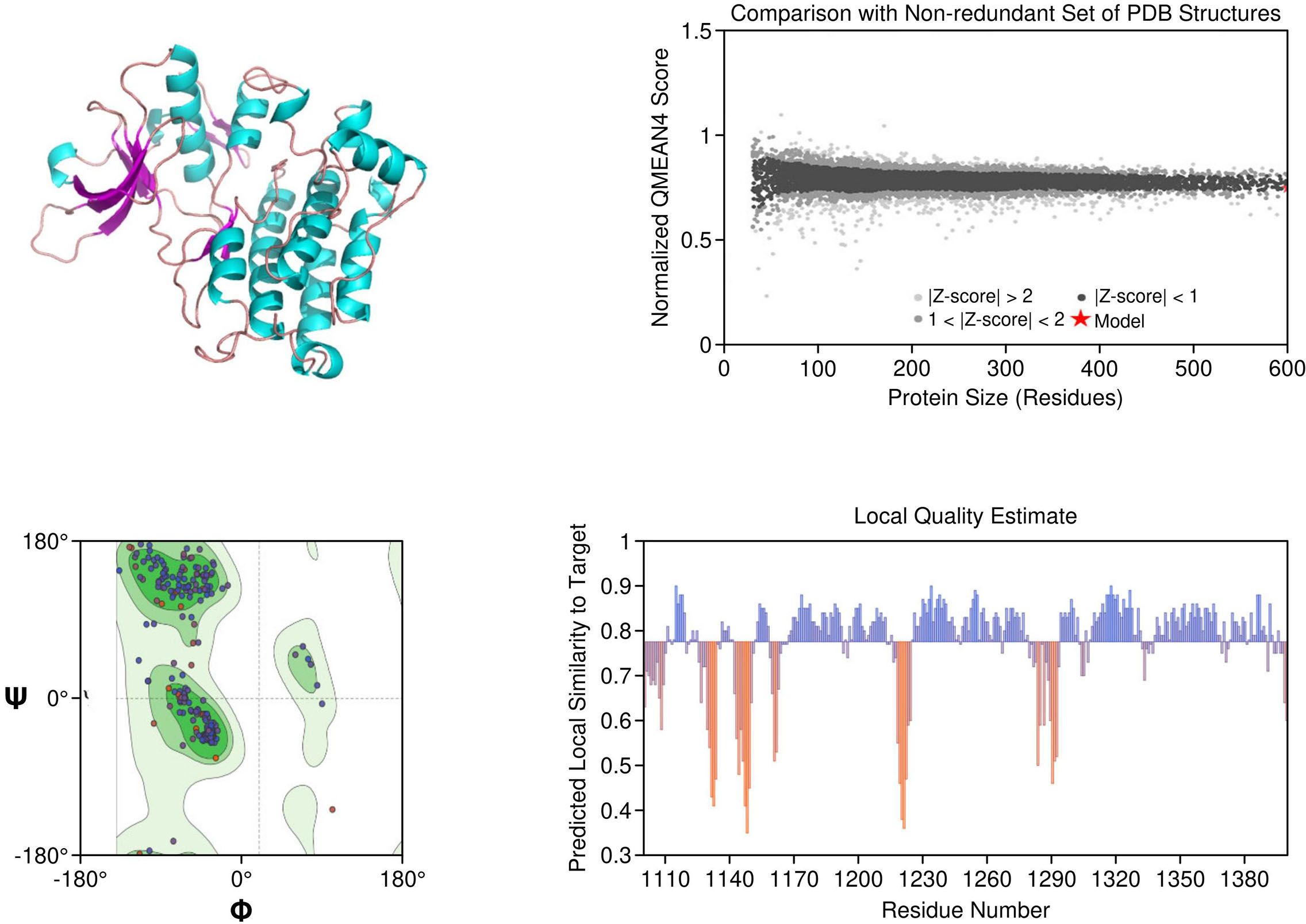 Panel A shows a 3D protein structure with cyan helices, magenta strands, and pink loops. Panel B is a scatter plot comparing a model's QMEAN4 score to non-redundant protein structures, with z-score categories marked by different shades of gray and a red star for the model. Panel C is a Ramachandran plot with green regions representing favored torsion angles, blue circles for data points, and some points in red. Panel D is a bar graph displaying the predicted local similarity to a target across residue numbers, with positive values in blue and negative values in orange.