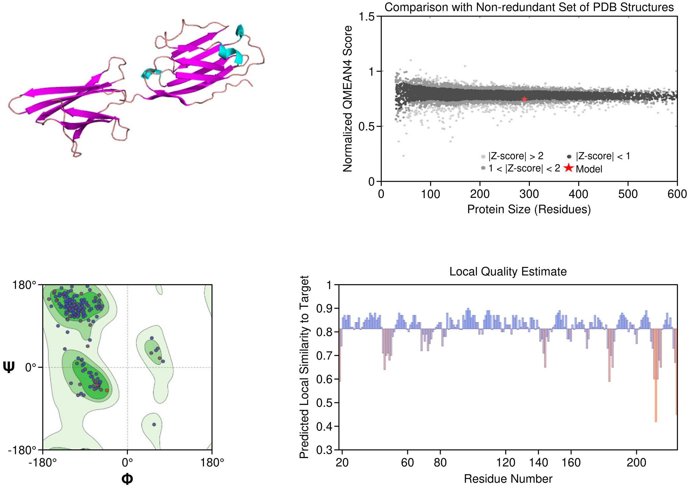 Diagram showing four panels of protein analysis: Panel A depicts a 3D protein structure with purple and cyan ribbons. Panel B is a scatter plot comparing normalized QMEAN scores with protein sizes, highlighting a model with a red star. Panel C presents a Ramachandran plot with various clusters of points. Panel D is a bar graph indicating local quality estimates across residue numbers, with predicted local similarity to the target.